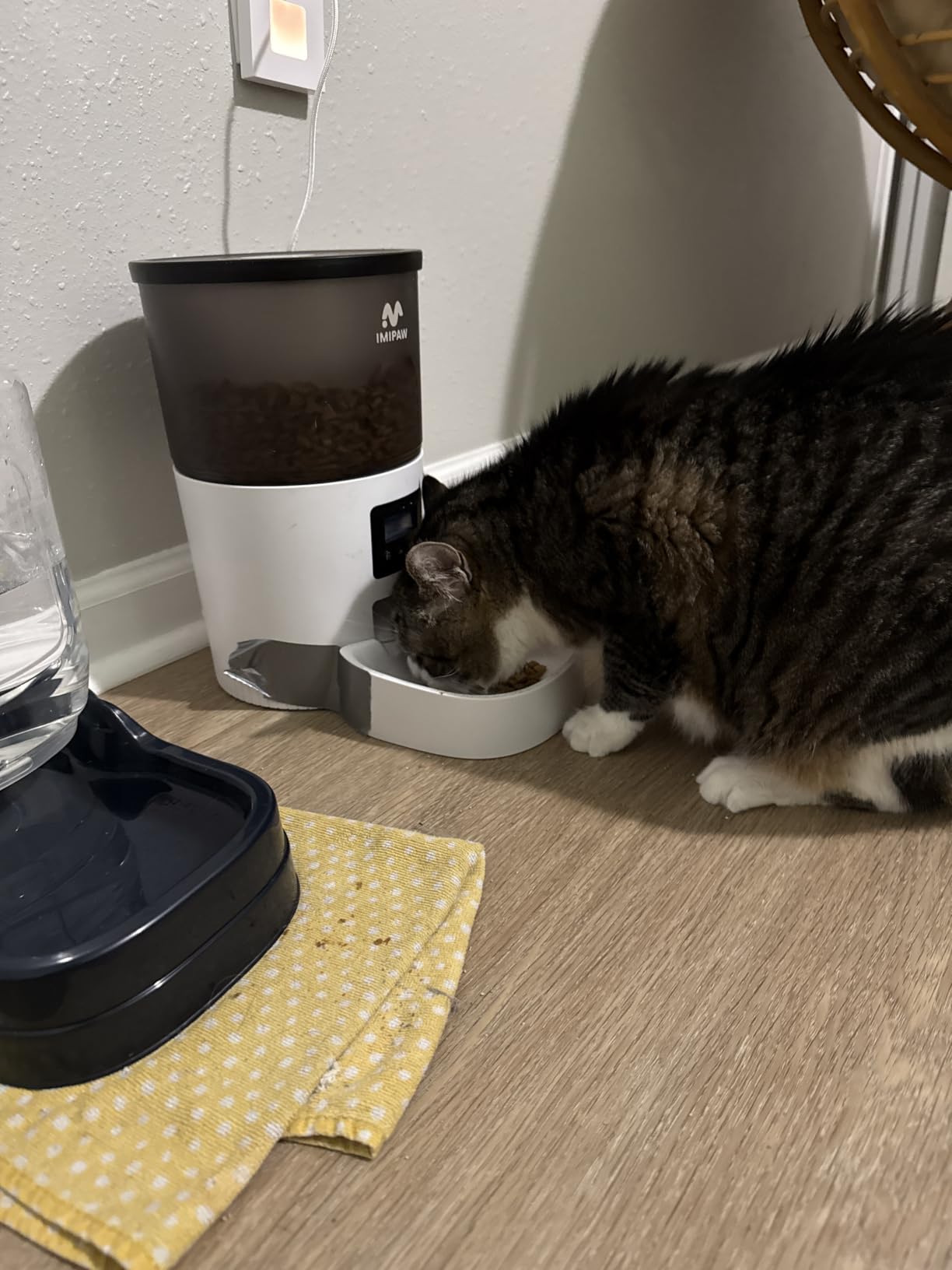 IMIPAW Automatic Cat Feeders, Timed Cat Dry Food Dispenser with Desiccant Bag, Dual Power Supply, Programmable Portion Size, 6 Meals, 20 Portions Per Day, Auto Pet Feeder for Cats and Small Dog, White customer photo 1