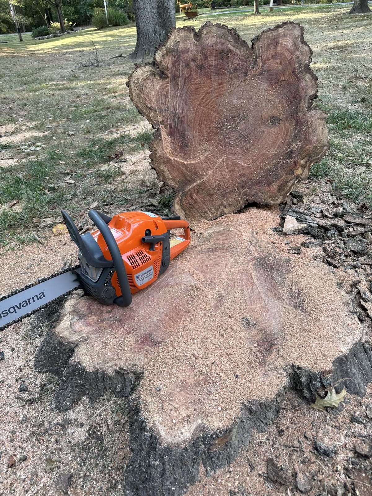 Husqvarna 455 Rancher Gas Chainsaw, 55-cc 3.5-HP, 2-Cycle X-Torq Engine, 20 Inch Chainsaw with Automatic Oiler, For Wood Cutting, Tree Trimming and Land Clearing, Gifts For Men customer photo 1