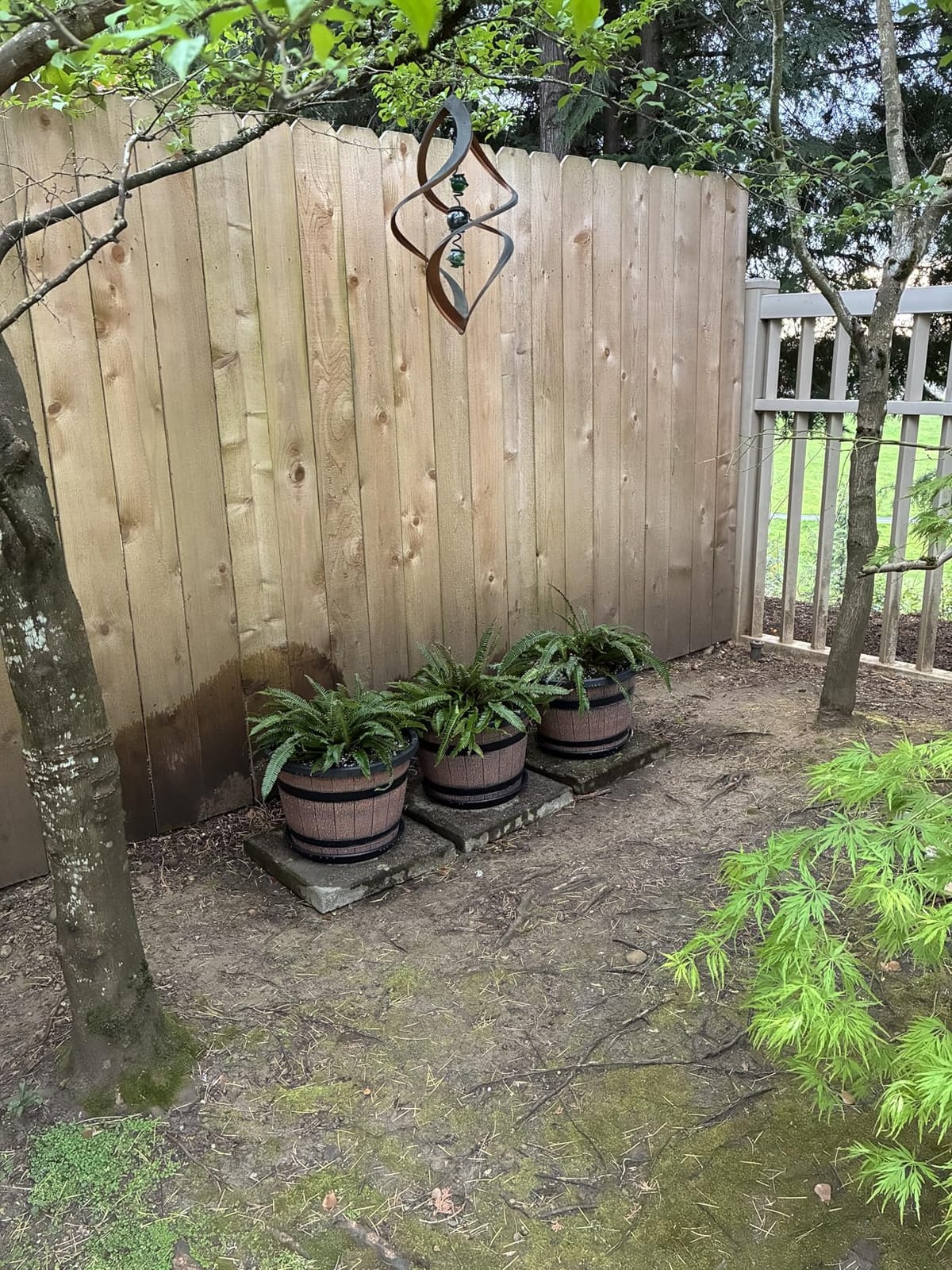 Quarut Large Plastic 3 Pack 16 inch Plant Pots, Whiskey Barrel Planters with Drainage Holes & Saucer. Flower Pots Imitation Wine Barrel Design for Indoor & Outdoor Garden Balcony Plants. 7 Gallons (Brown) customer photo 2