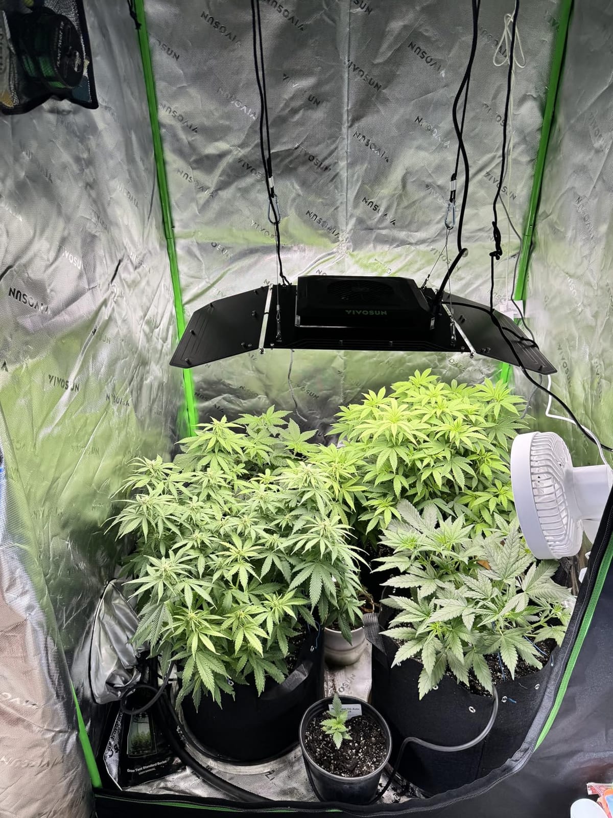 VIVOSUN Smart Grow Tent Kit 2x4, 2-Plant WiFi-Integrated Grow System | including 200W Full Spectrum LED,Automatic Control with GrowHub E42A+, Efficient Ventilation System,48x24x60