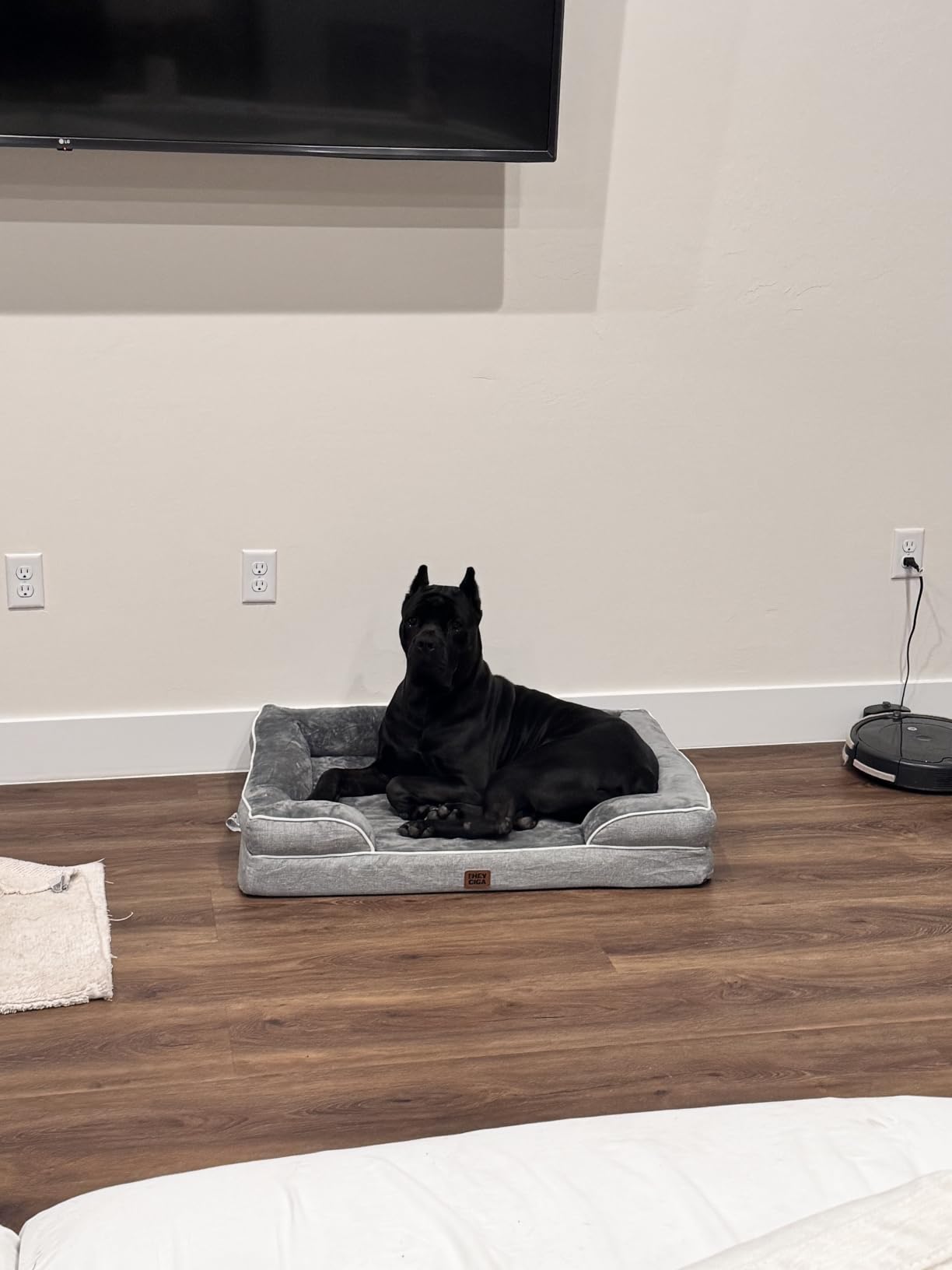 EHEYCIGA Orthopedic Dog Beds for Extra Large Dogs, Waterproof Memory Foam XL Dog Bed with Sides, Non-Slip Bottom and Egg-Crate Foam Big Pet Couch Bed with Washable Removable Cover, Camel 44Inch customer photo 1