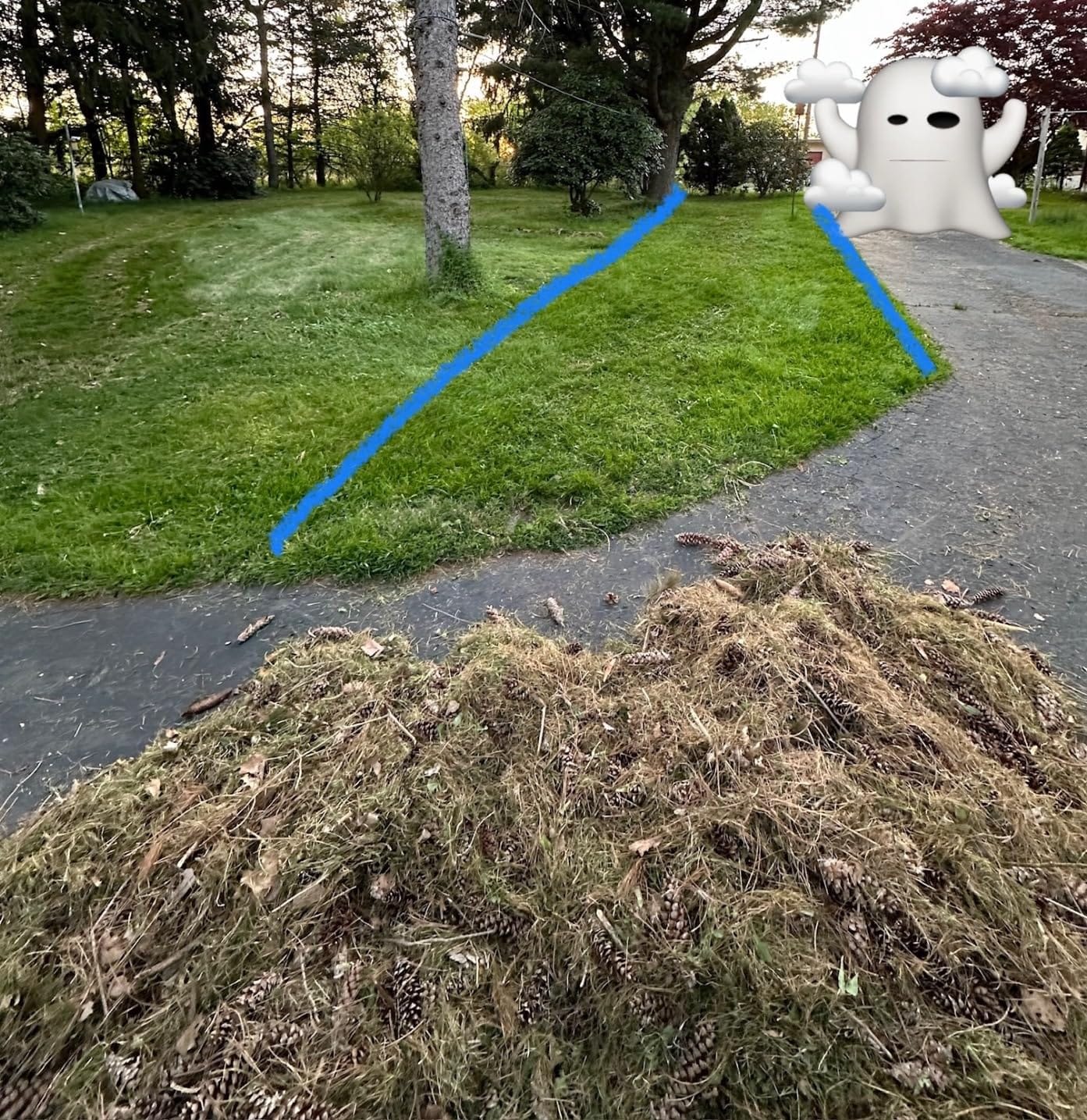 Suchtale 48 Inch Tow Behind Lawn Dethatcher with 24 Spring Tines | 48 Inch working width with 24 spring steel tines and a 70 lb ballast platform for efficient thatch removal on large lawns. customer photo 1