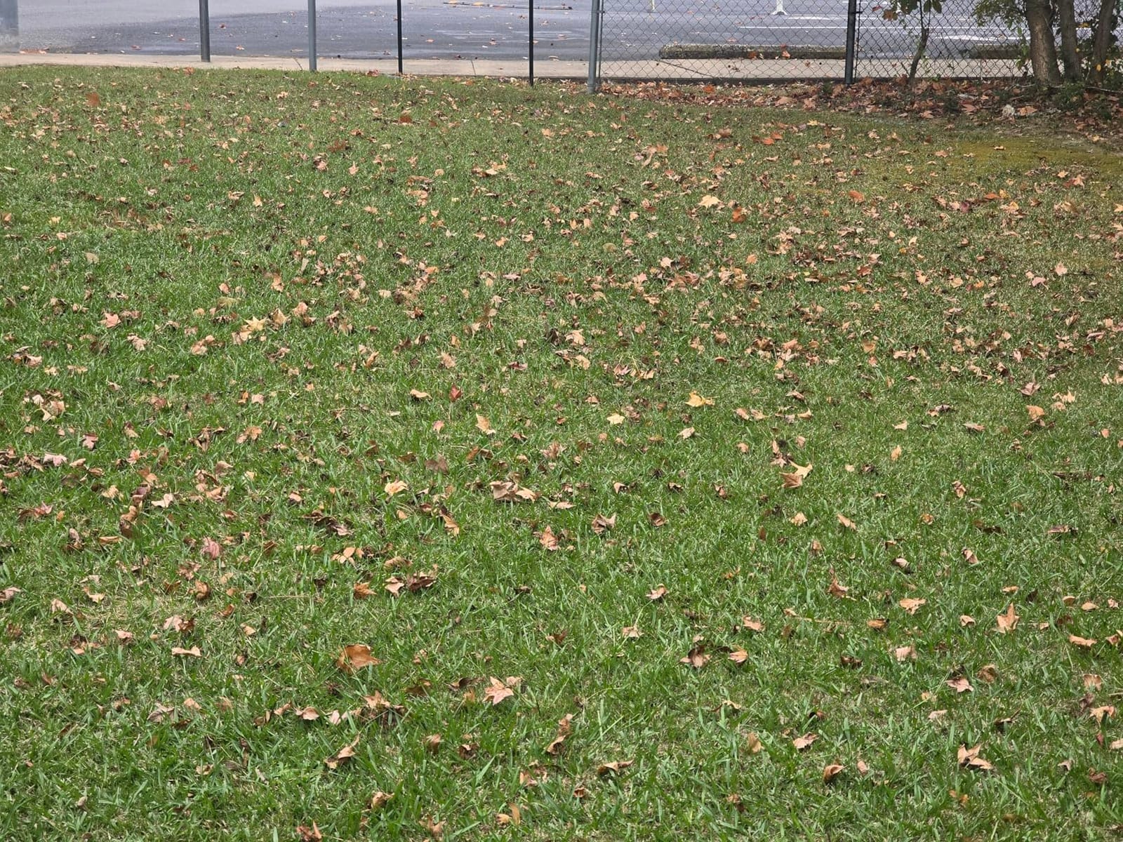 VEVOR Push Lawn Sweeper 21