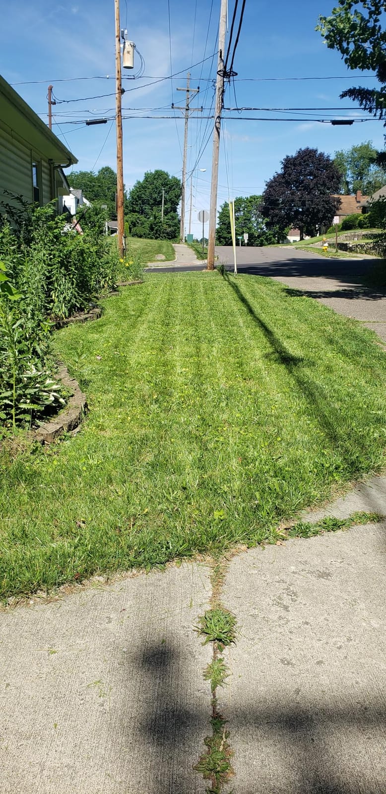 Wild Badger Power 40V 18-In Brushless Cordless Electric Lawn Mower | 18-in brushless push mower for small-to-medium lawns; 5 cut heights, 3-in-1 clipping modes, 40V 4.0Ah battery and charger. customer photo 1