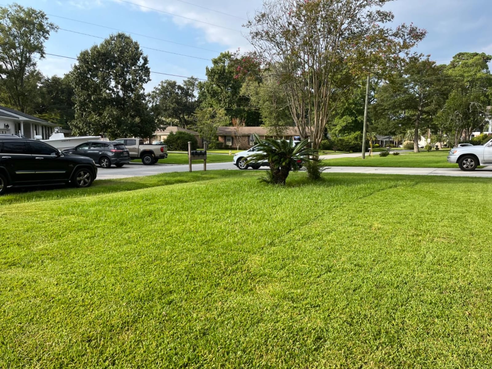 Wild Badger Power 40V 18-In Brushless Cordless Electric Lawn Mower | 18-in brushless push mower for small-to-medium lawns; 5 cut heights, 3-in-1 clipping modes, 40V 4.0Ah battery and charger. customer photo 2