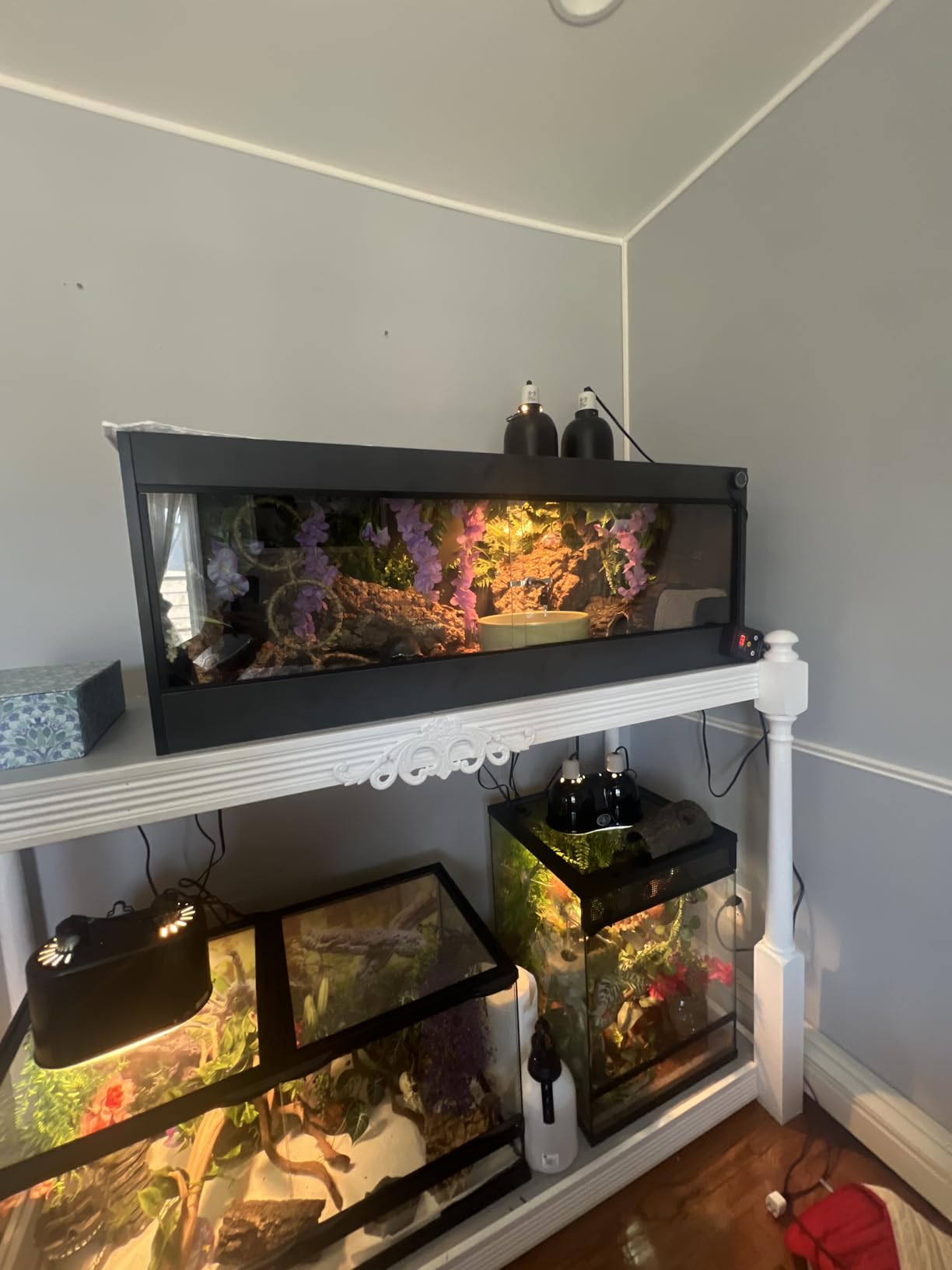 50 Gallon PVC Reptile Enclosure, 36x18x18 inch Reptile Tank with Glass Sliding Door and Screen Ventilation customer photo 1