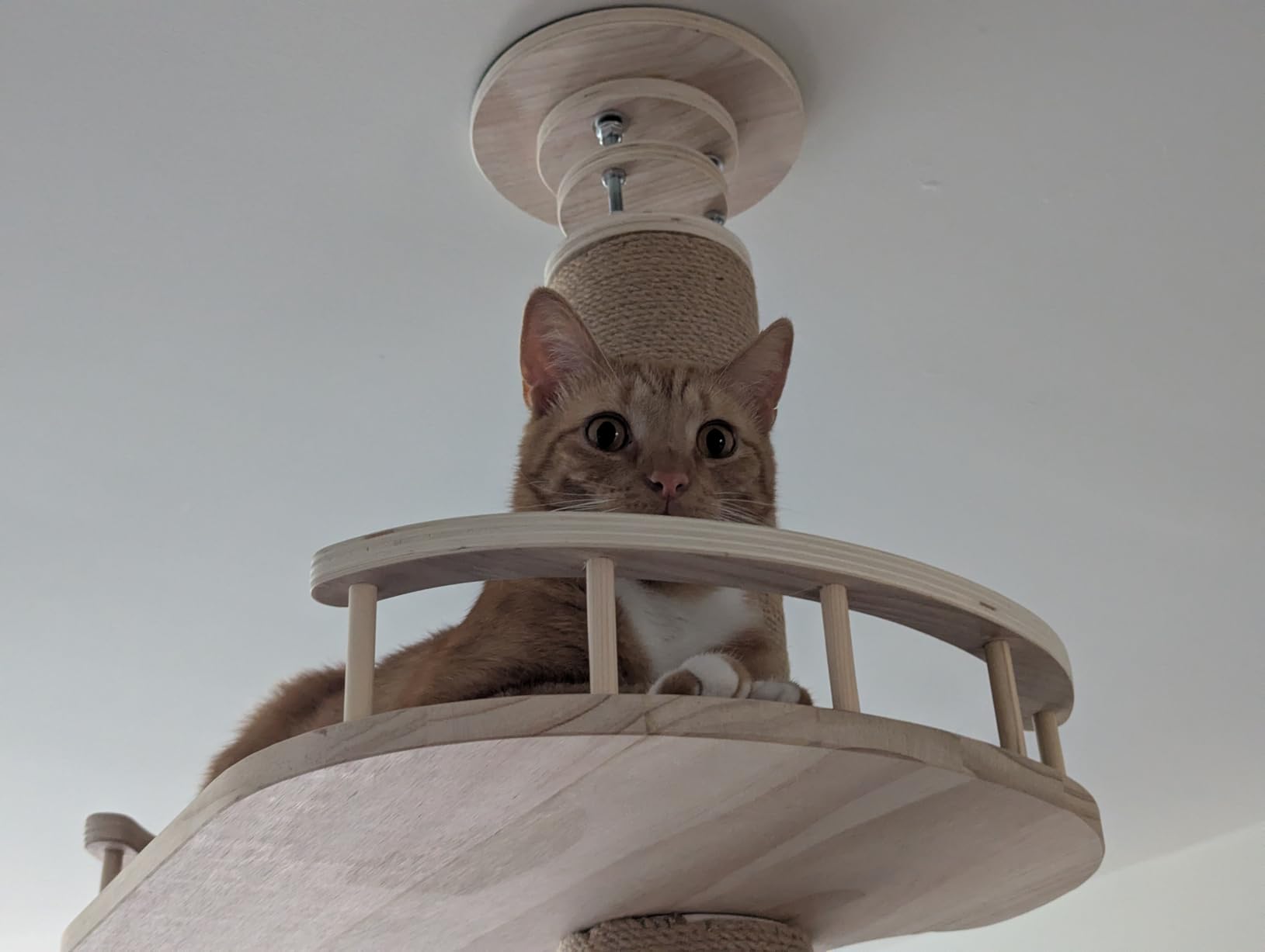 Floor to Ceiling Cat Tree Height (50-120.5in) Adjustable Cat Tower 5 Tier Hemp Scratching Post High Cat Tree Sturdy Activity Tree Indoor Outdoor Cat Scratching Post Activity Center customer photo 2