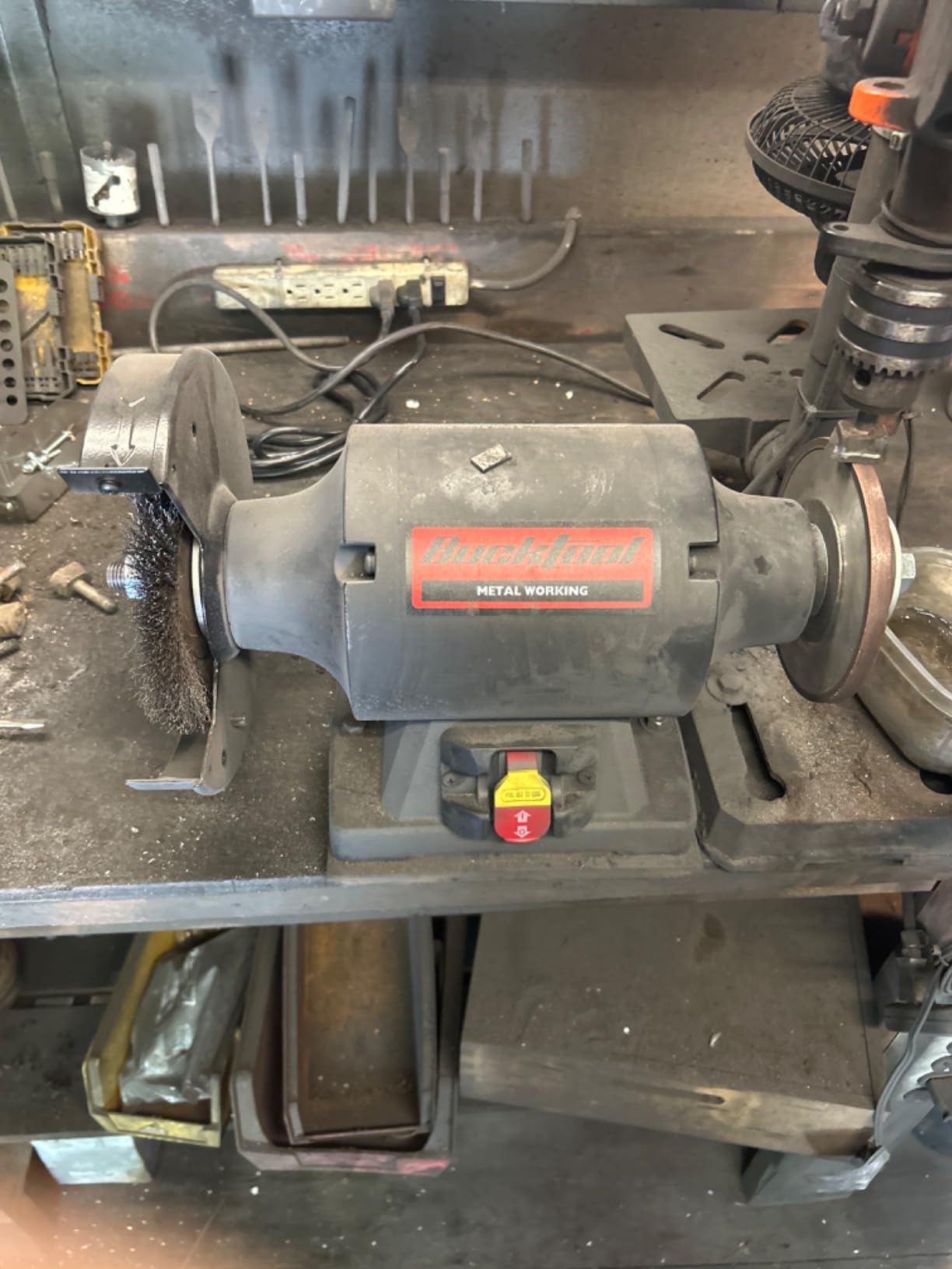BUCKTOOL 1.0 HP 8 Inch High Speed Bench Grinder, 3590 RPM Table Grinder with 8.0A Motor, High Precision Wobble-free Wheel Grinder, TDS-200HD customer photo 1