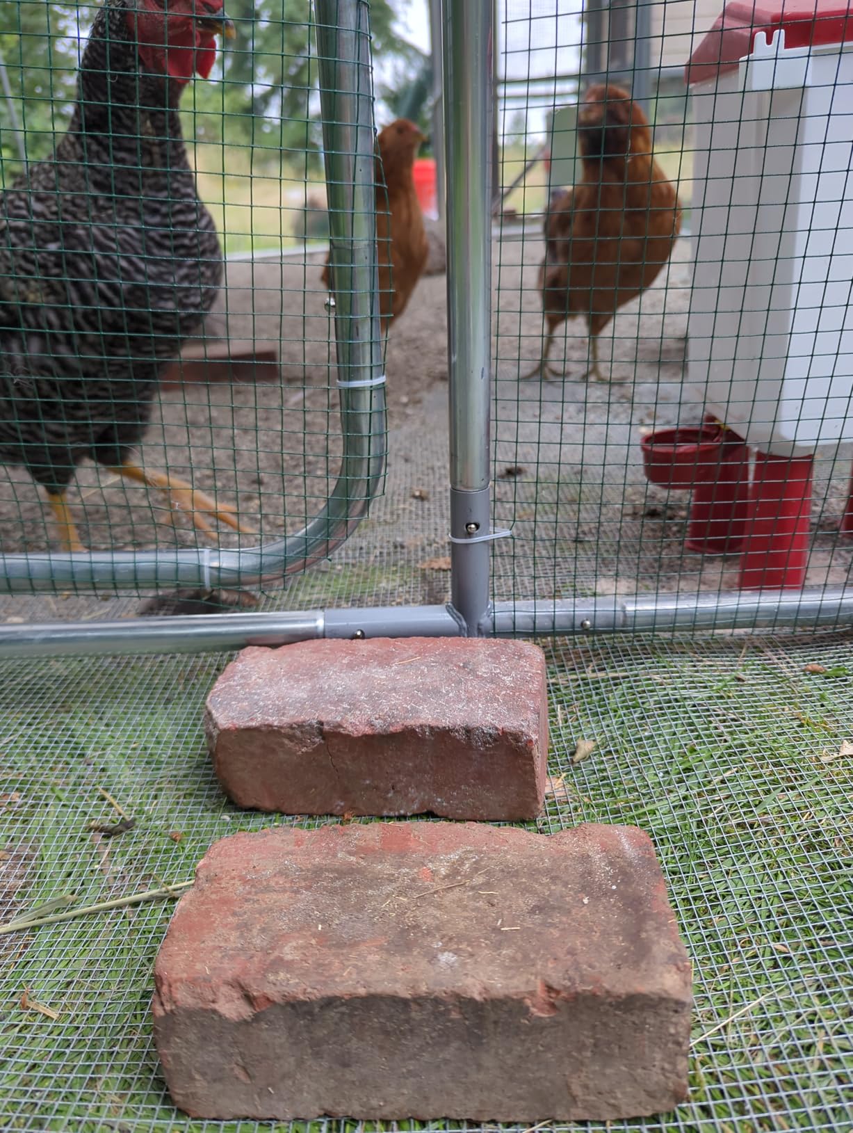 Quictent Large Metal Chicken Coop Run for 30+ Poultry w/Side Hardware Cloth | Waterproof Cover, Advanced Series Outdoor Walk-in Cage Hen Duck Rabbit Dog Pen Yard Farm House, 18x9x6.6FT customer photo 2