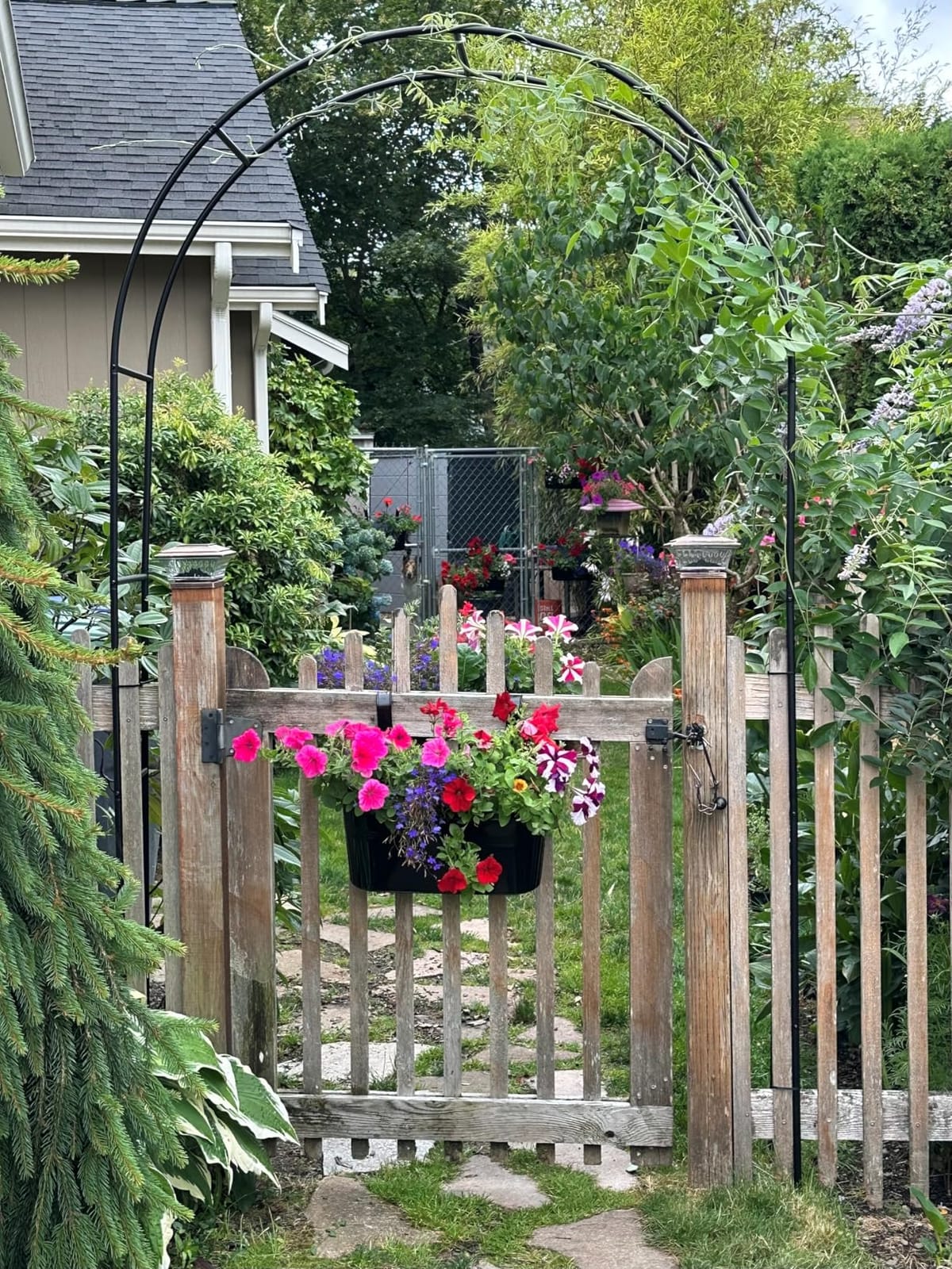 Thickened Tube Garden Arch Arbor Metal Trellis for Climbing Plants Outdoor | 4.6 * 7.8 or 6.4 * 7.5Ft, 16mm Steel Tubes & 0.7mm Thickened Wall, Stable Garden Arbor, Birthday Party Wedding Arch Decoration customer photo 1