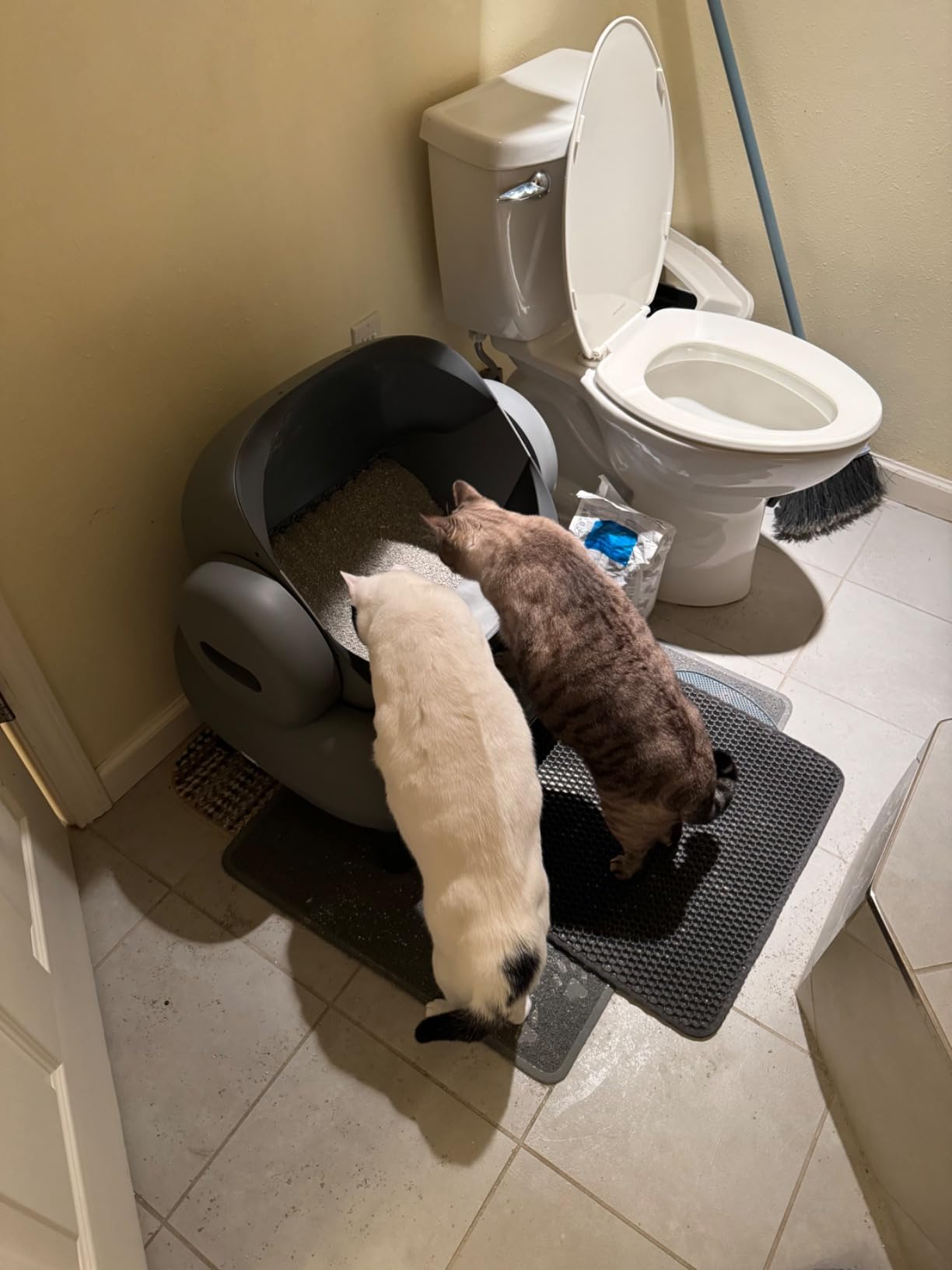 Neakasa M1 Plus Open-Top Self-Cleaning Litter Box customer photo 2
