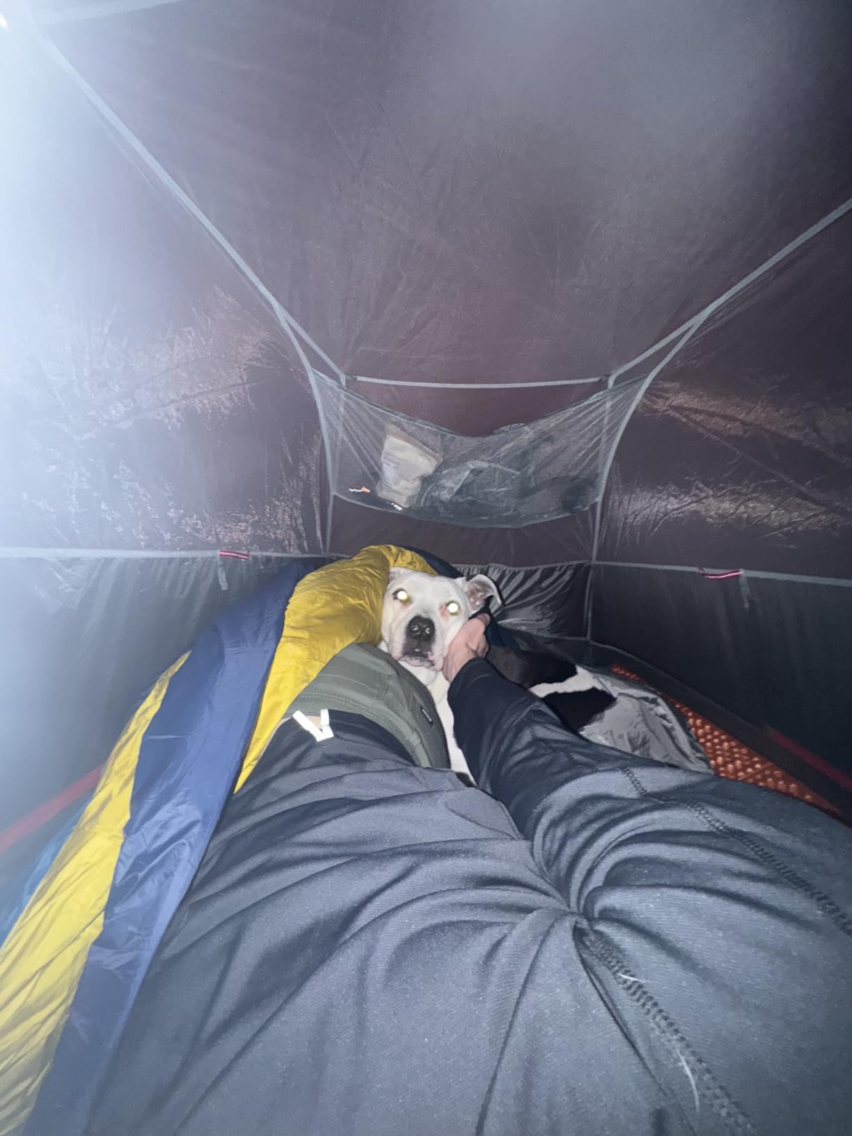 Kelty Cosmic 20 Down Mummy Sleeping Bag for Backpacking, Campers, 550 Fill Power, Recycled Fabrics with PFAS-Free DWR customer photo 1