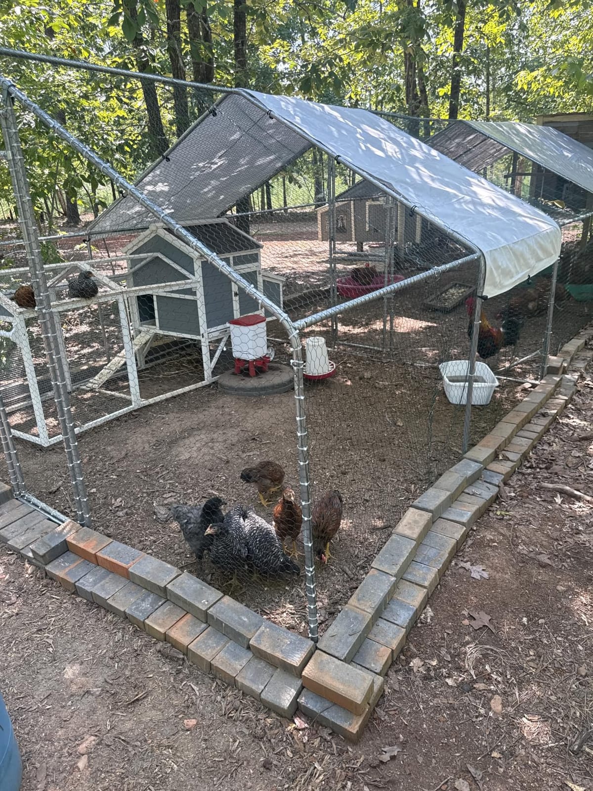 Outvita Chicken Coop, 13×10 FT Large Metal Chicken House, Poultry Habitat Cage with Waterproof Cover, Walk-in Chicken Run Pen for Small Animals, Yard, Farm, Patio customer photo 2