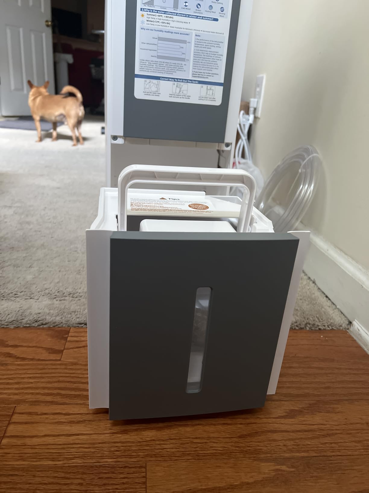 AEOCKY 5500 Sq.Ft Energy Star Most Efficient 2025 Dehumidifier Max 80Pint/D | Dehumidifier with Drain Hose for Basement, Home, Bedroom, Bathroom, Intelligent Humidistat customer photo 1