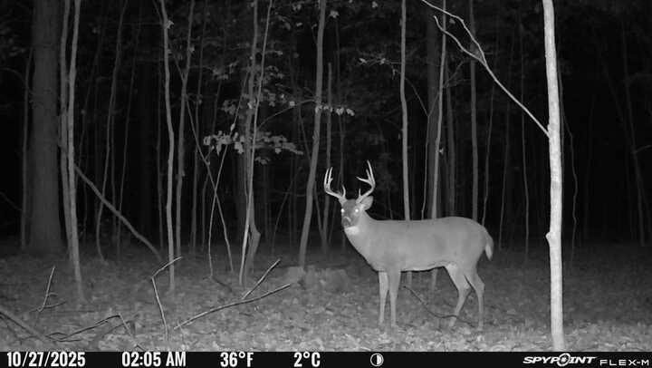 SPYPOINT Flex-M Twin Pack Cellular Trail Cameras - Best Hunting Accessories, No WiFi Needed, GPS, Night Vision, Dual-Sim LTE, IP65 Water-Resistant Game Camera, 28MP Photos, 720p Videos + Sound customer photo 2