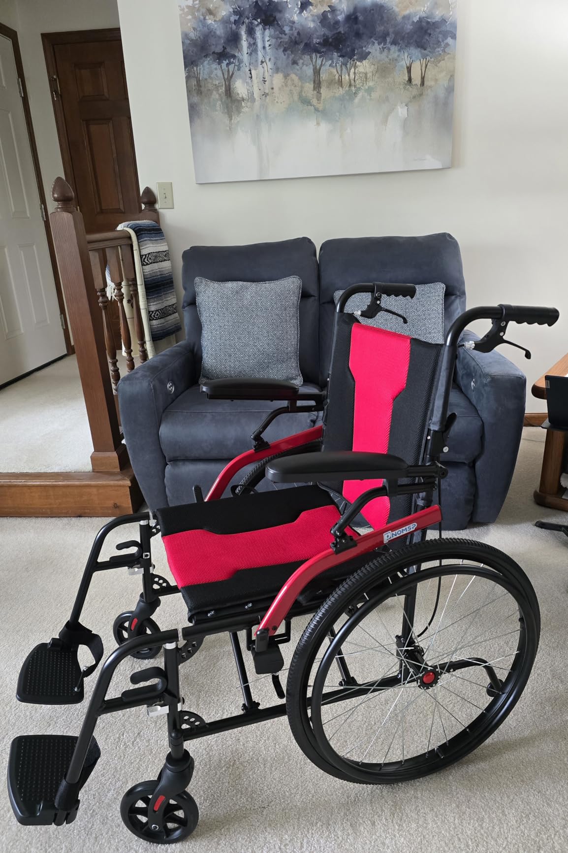 14lb Magnesium Ultra Lightweight Wheelchair 20 inch seat with Flip Back Arms, Lightweight Wheelchair Foldable, Wheelchairs for Adults with Travel Bag customer photo 1