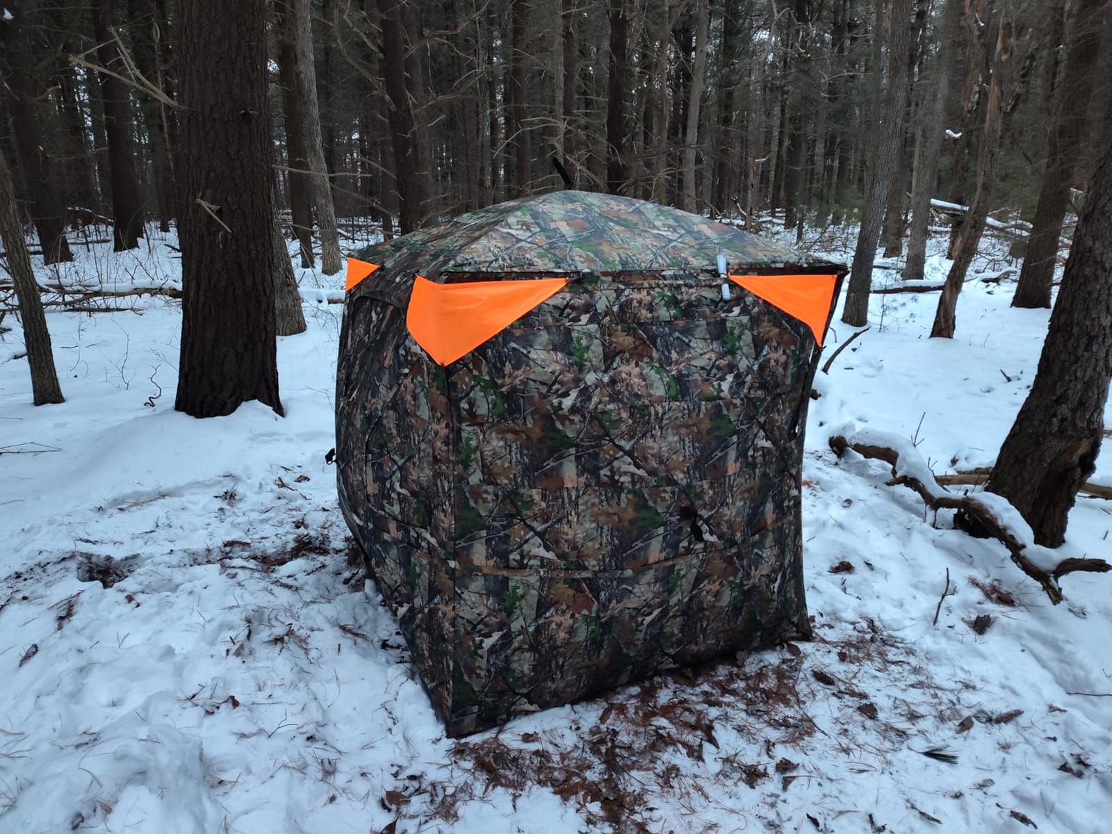 TIDEWE Hunting Blind 360 See Through, Pop Up Ground Blind with Large Door customer photo 2