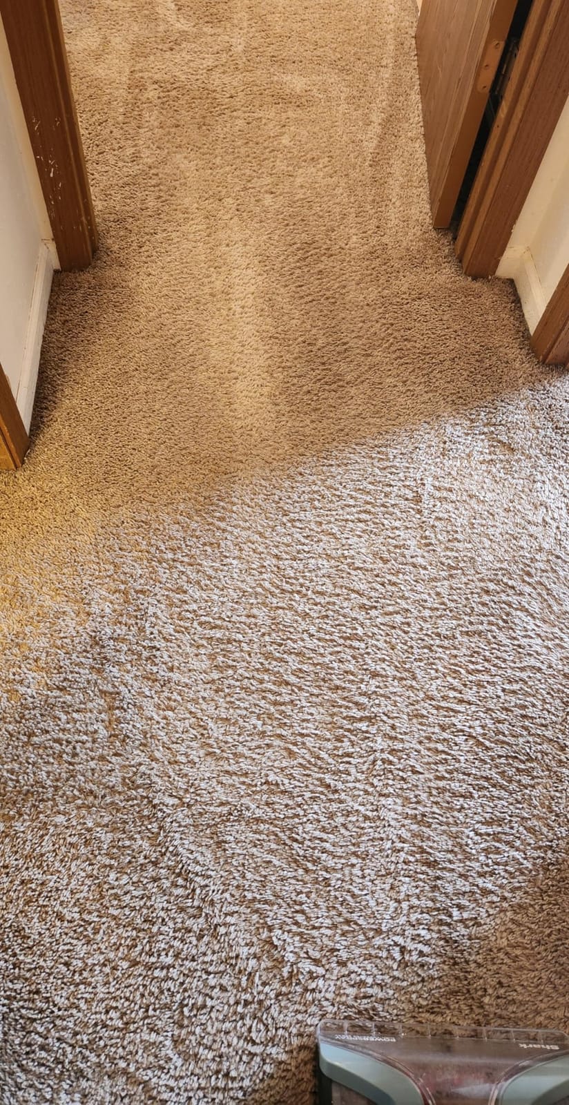 Shark CarpetXpert Upright Carpet & Built-in Stain Cleaner, 3 Tools, EX151 customer photo 2