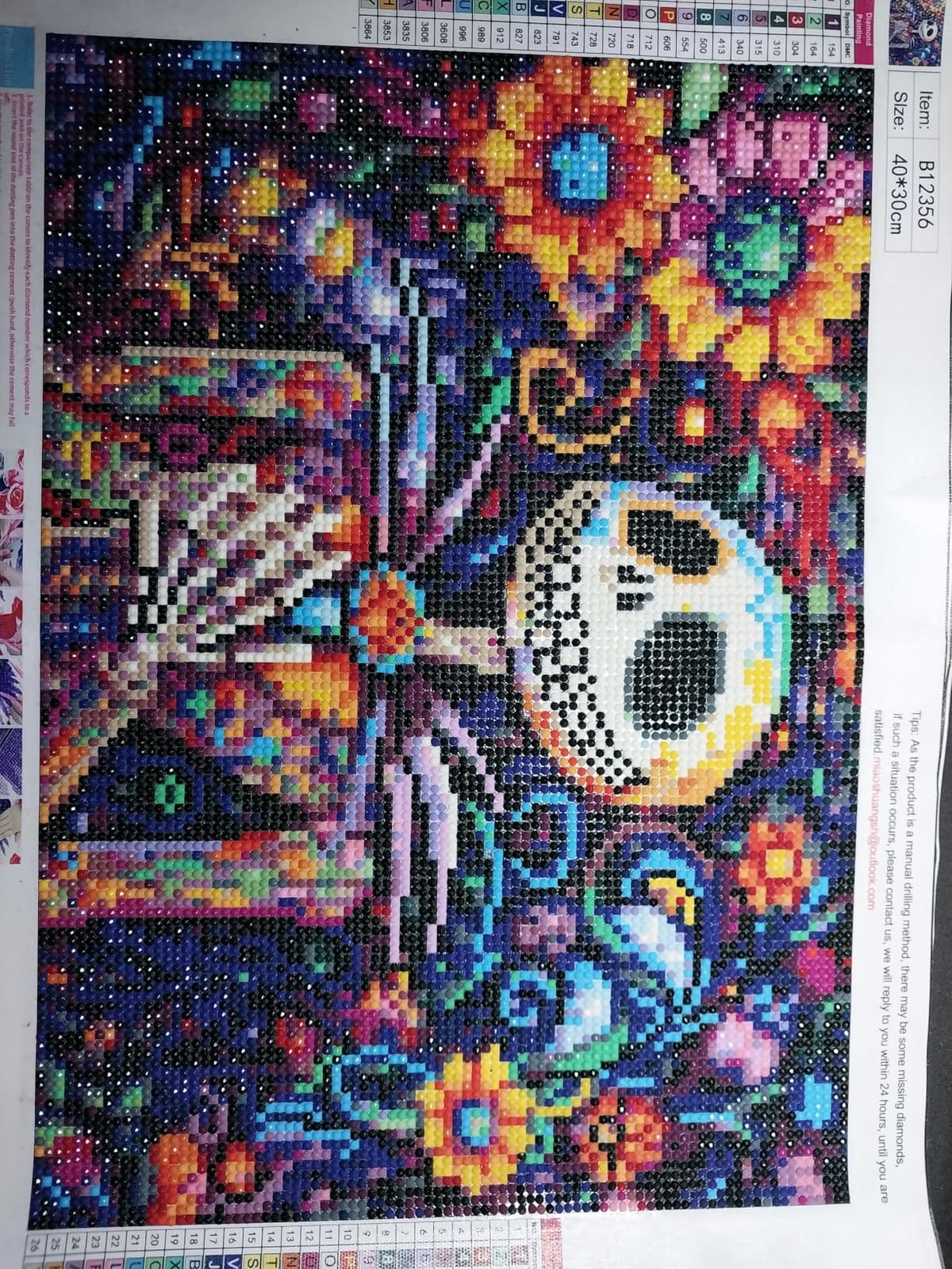 Skull Last Flying Diamond Painting Kit 12x16 Inch - 5D Full Round Drill Tarot Gem Art for Adults customer photo 1