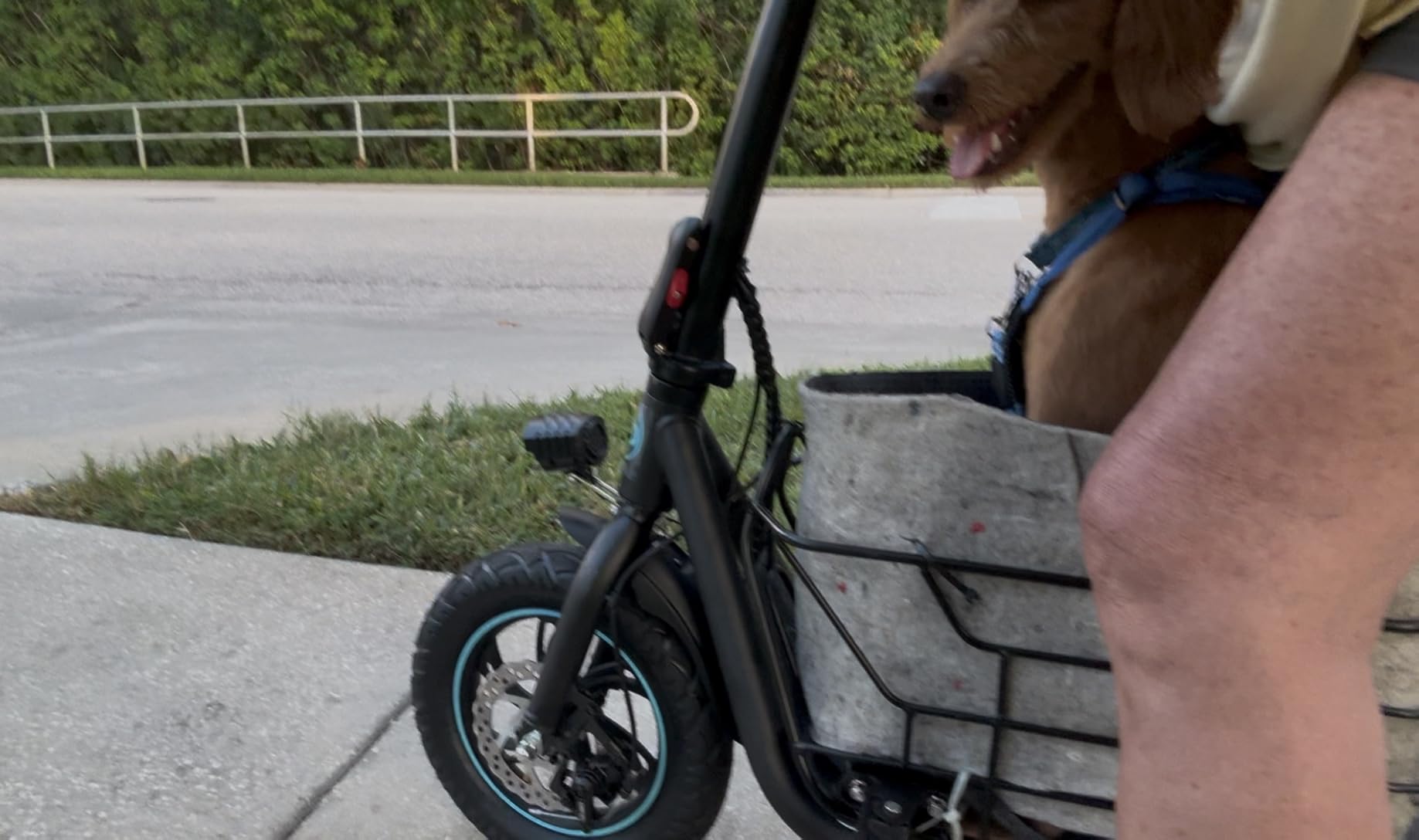 Gyroor Electric Scooter with Seat for Adults, 20-Mile Range, 550W Motor, Pet Basket, 18.6 MPH, 12