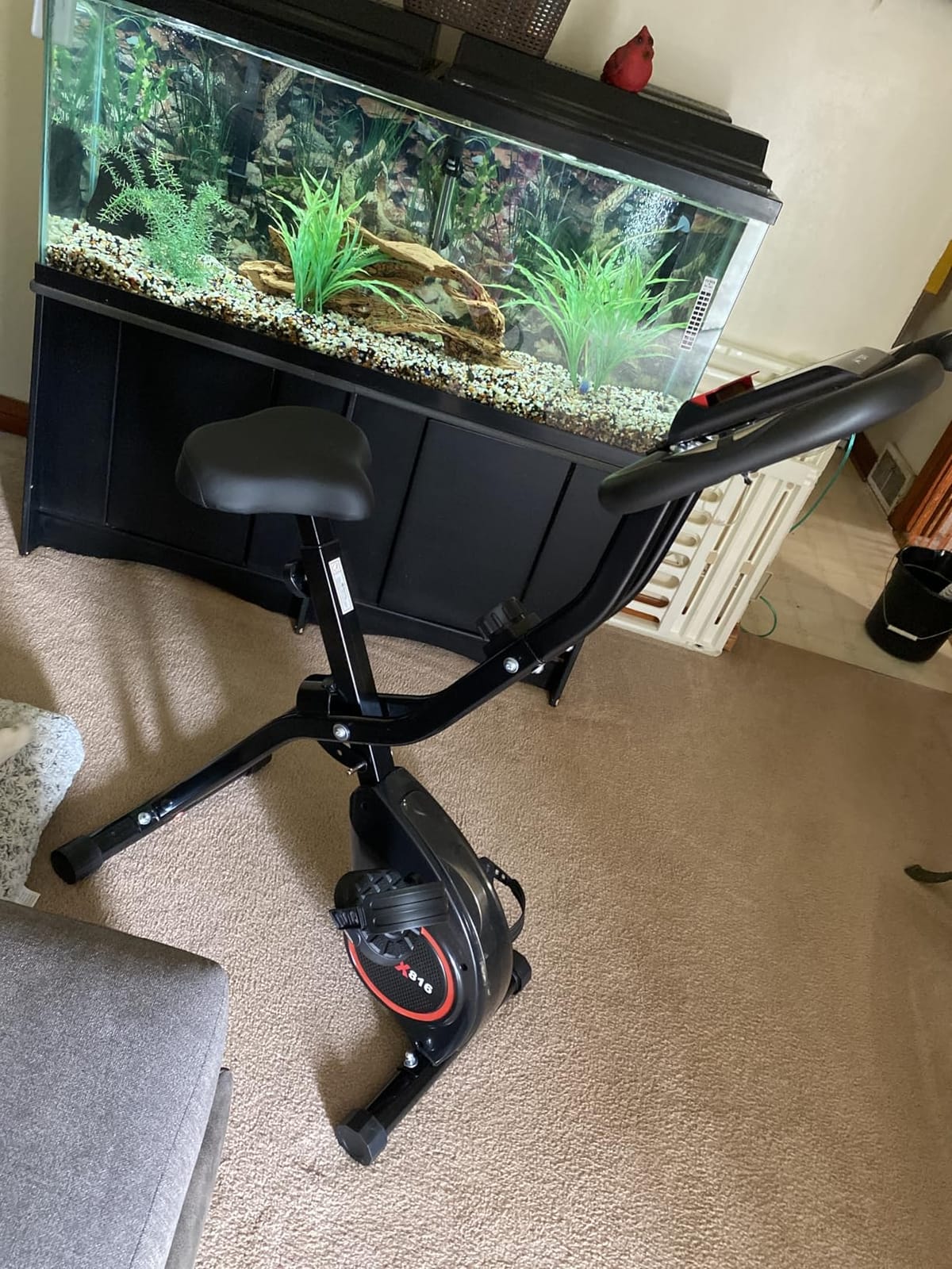 Lightweight 33LB Foldable Exercise Bike for Small Apartments, Stationary Bikes for Home Workout, Indoor Portable Cycling Bike with 16-Level Magnetic Resistance, 260LBS Capacity, 5.5 LBS Flywheel customer photo 1