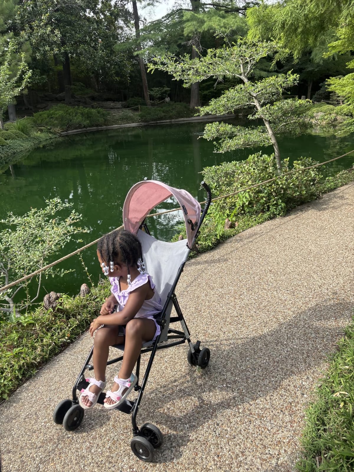 Dream On Me Aero Travel Umbrella Stroller - Grey customer photo 1