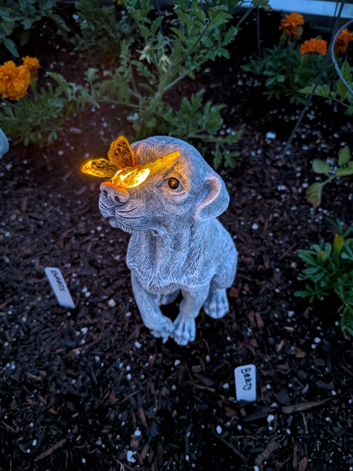 Goodeco Dog Statue with Solar Butterfly Garden Decor | Ideal gifts for mom, dad or birthdays, beautifully crafted outdoor decorations to wow your guests customer photo 2