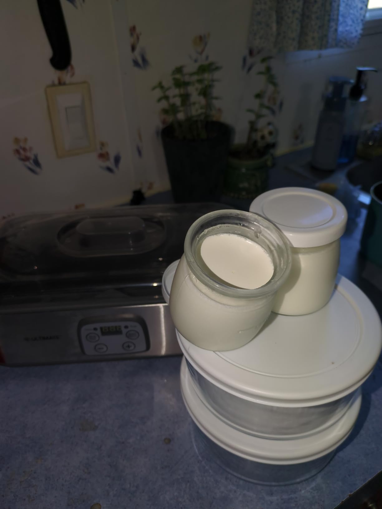 Ultimate Probiotic Yogurt Maker with Adjustable Temperature & Time Control - Make Trillions of Live Probiotics & Get Better Gut Health - ULTIMATE LIFETIME WARRANTY - Wellness Gifts for Men & Women customer photo 1