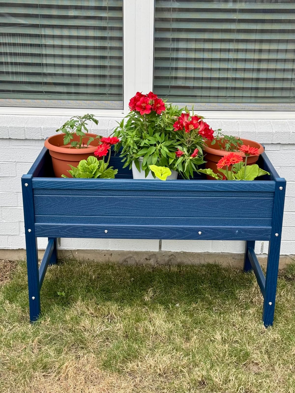 Small HDPE Raised Garden Bed, Elevated Planter Box with Legs, Outdoor All-Weather Planter Raised Beds for Seeds, Herbs, Flowers, Vegetables (Navy Blue) customer photo 2