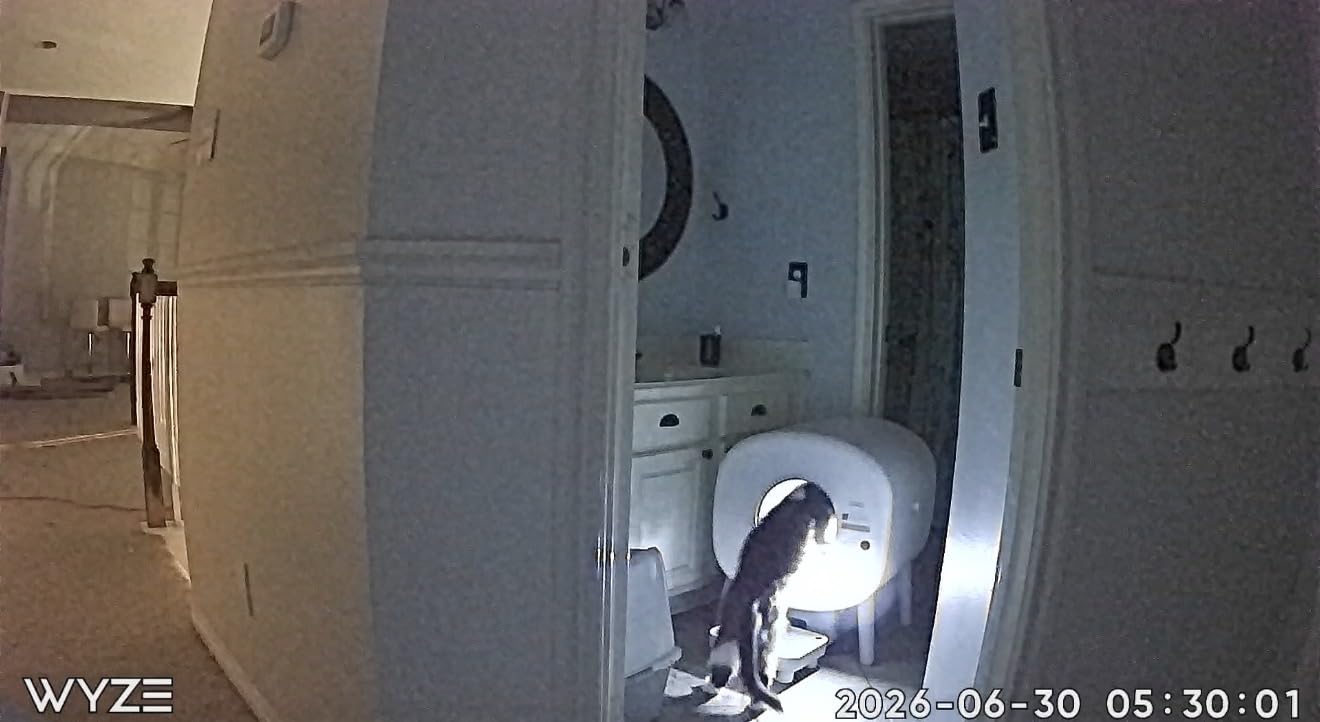 Cumrige Automatic Litter Box customer photo 2