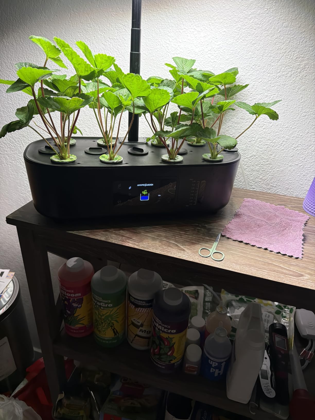 Ahopegarden Hydroponics Growing System Kit: 12 Pods with LCD Control Panel | Indoor Herb Garden with Grow Light, Planting Height Up to 17