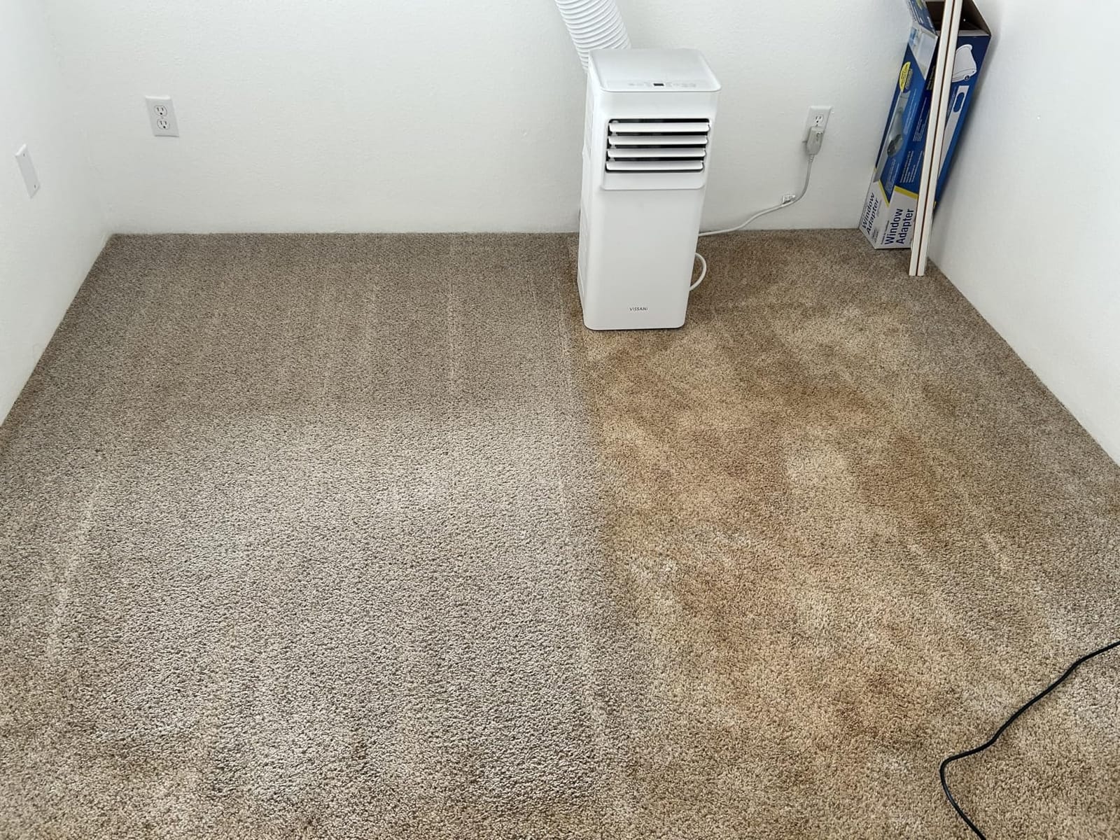 BISSELL TurboClean PET, Upright Carpet & Upholstery Cleaner, 3948 customer photo 1