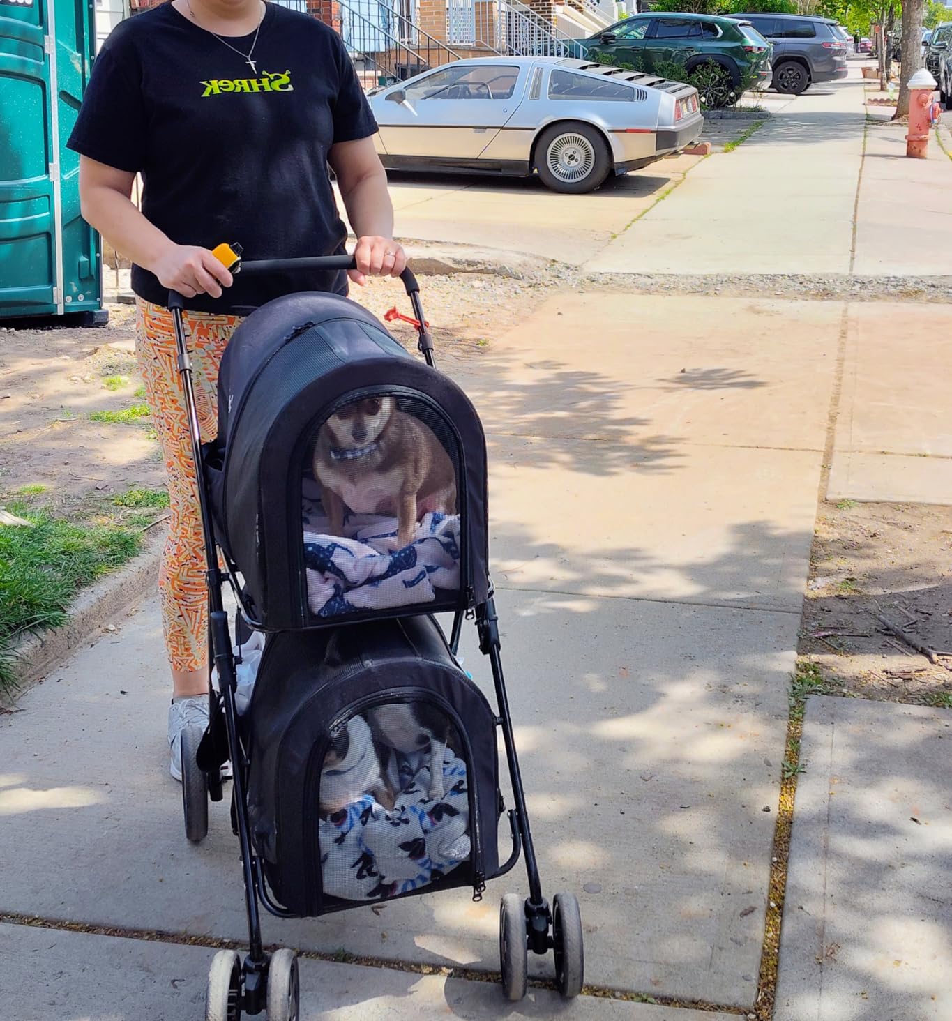 Giantex Double Pet Stroller with 2 Detachable Carrier Bags, Safety Belt, 4 Lockable Wheels, Folding Cat & Dog Stroller for Small Medium Pets, Cats Dogs Puppy Travel Strolling Cart (Pink) customer photo 1