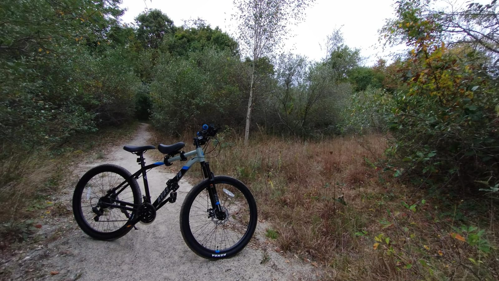 AVASTA Earth 26 27.5 Inch Mountain Bike MTB for Adult Man Women Male | Lightweight Aluminum Alloy Frame, Dual Disc Brakes, Switchable Front Suspension, 21-Speed Gear Shifter customer photo 1