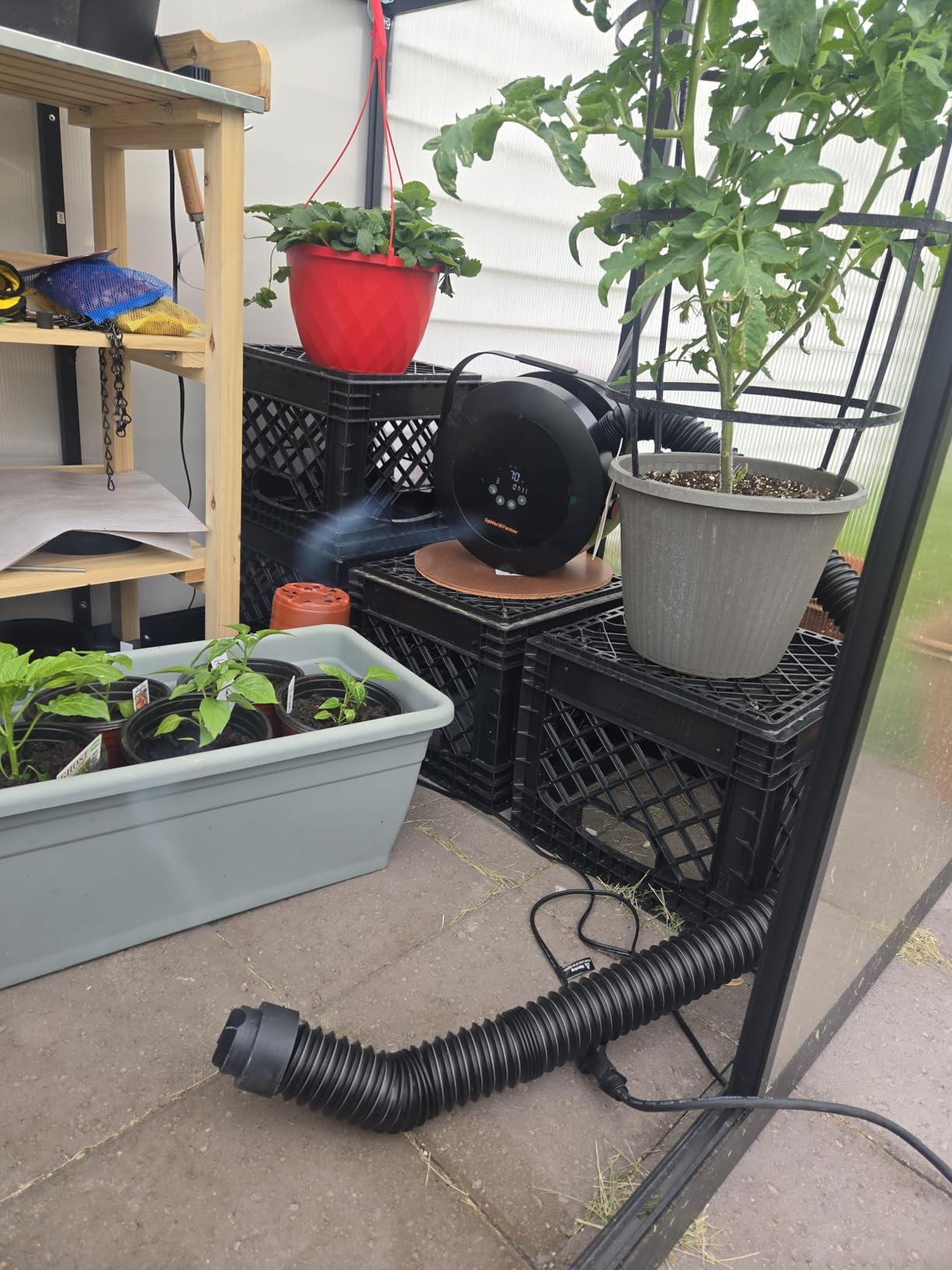 Spider Farmer Heater, 530W 10-Level PTC Heating for Grow Tent, Plant Room | Portable Heater with Extension Hose, Smart Temperature Control, 24H Timer customer photo 1