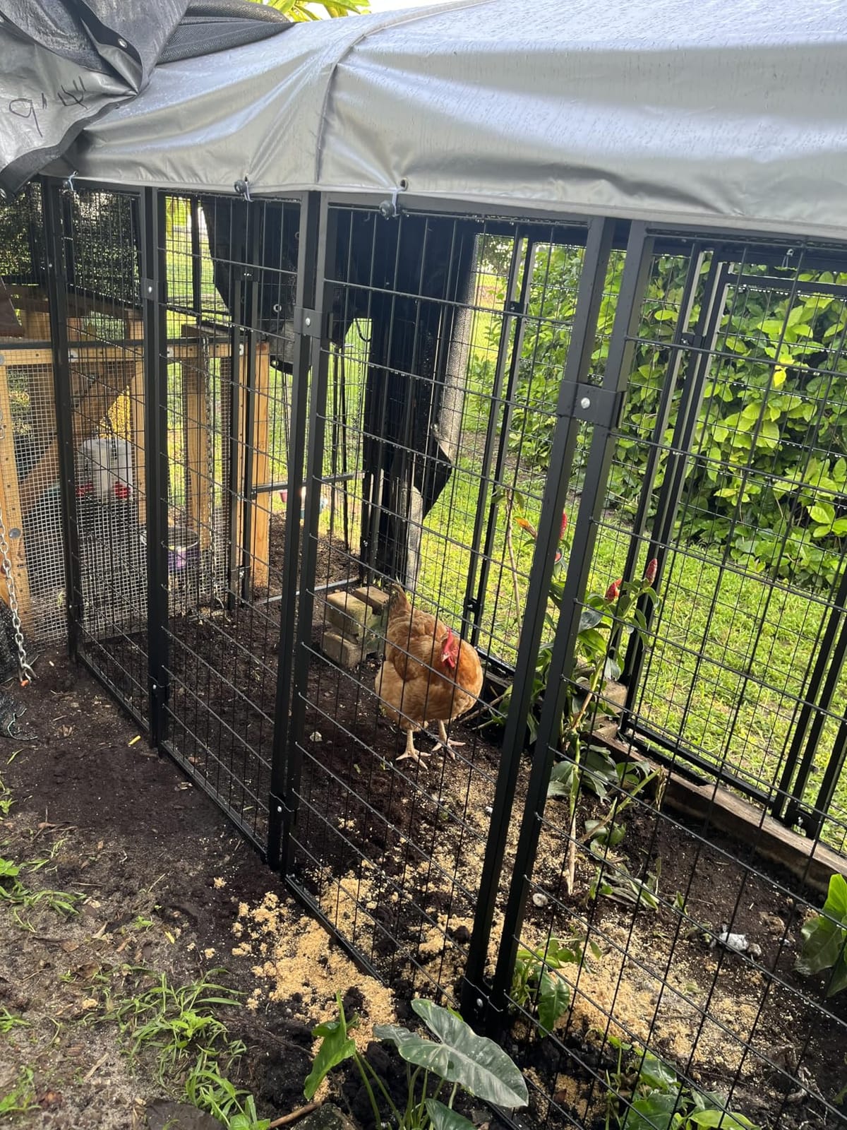 Dog Kennel Outdoor, Large Outside Dog Kennel with Roof & Swivel Feeders/Removable Doggy Door, 8'L x 4'W x 6'H customer photo 1