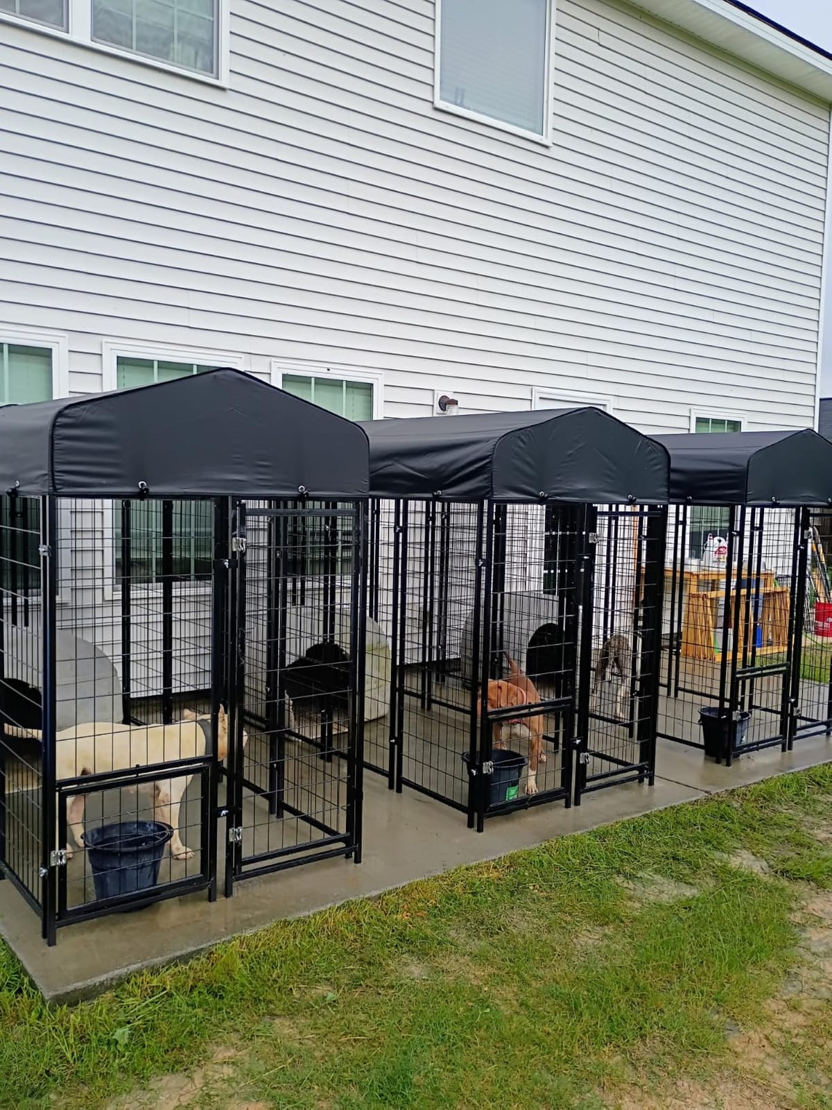 Sino Luban Outdoor Dog Kennel Outside Run with Doggy Door, Swivel Feeder & Roof - 8x4x6FT customer photo 2