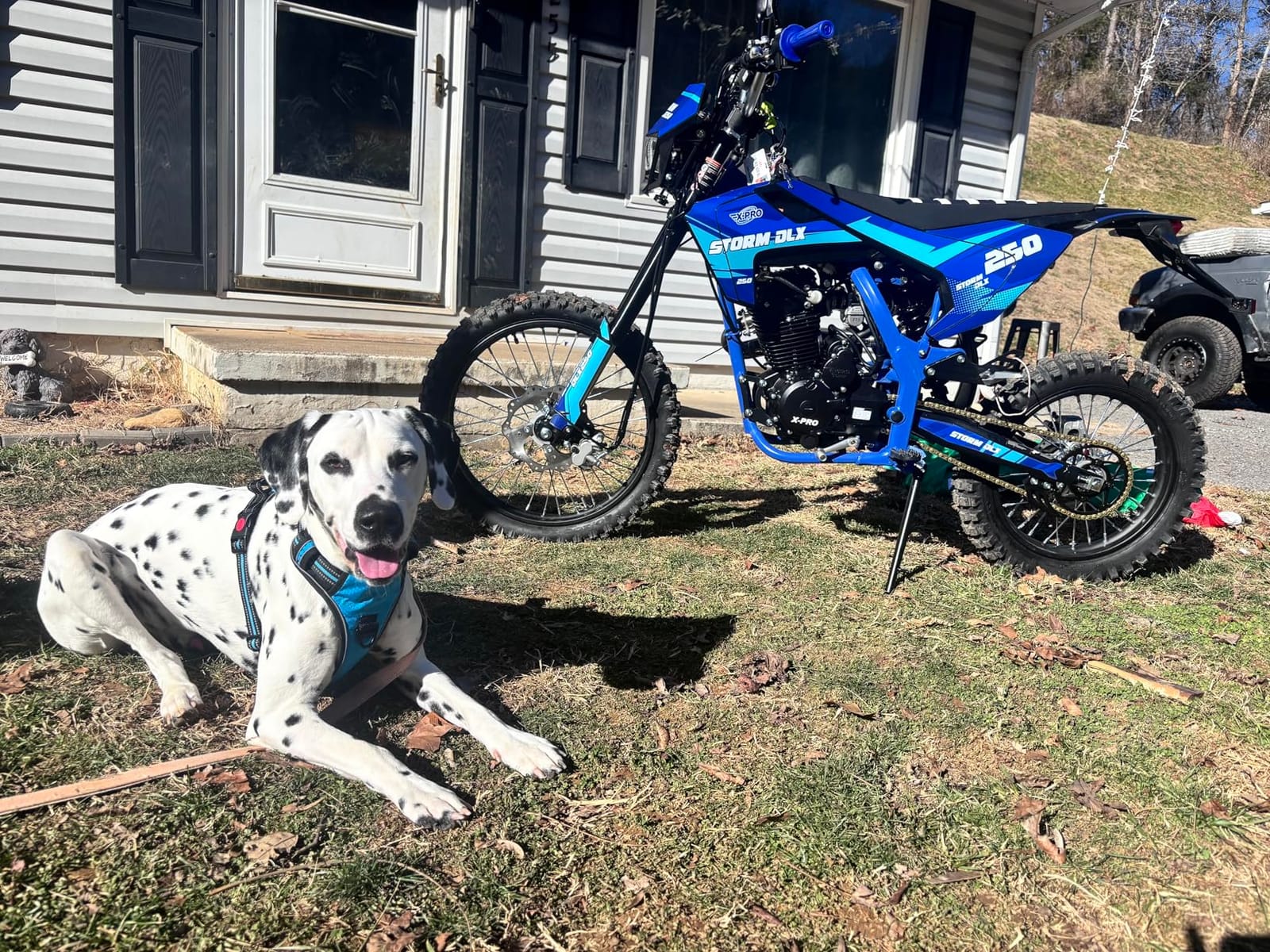 X-PRO Storm DLX 250 Dirt Bike with Zongshen Brand Engine 5-Speed Manual Transmission, Electric/Kick Start! Big 19