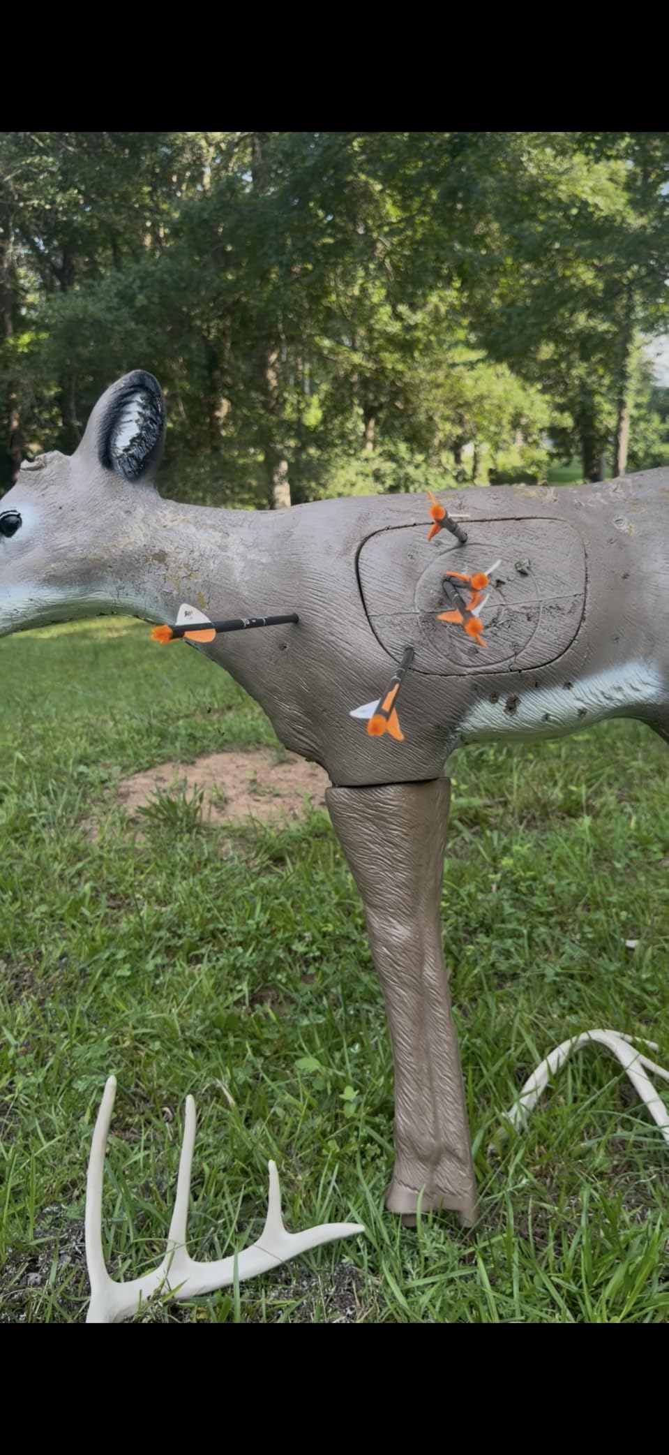 Bear Species XT Ready to Hunt Compound Archery Bow customer photo 2