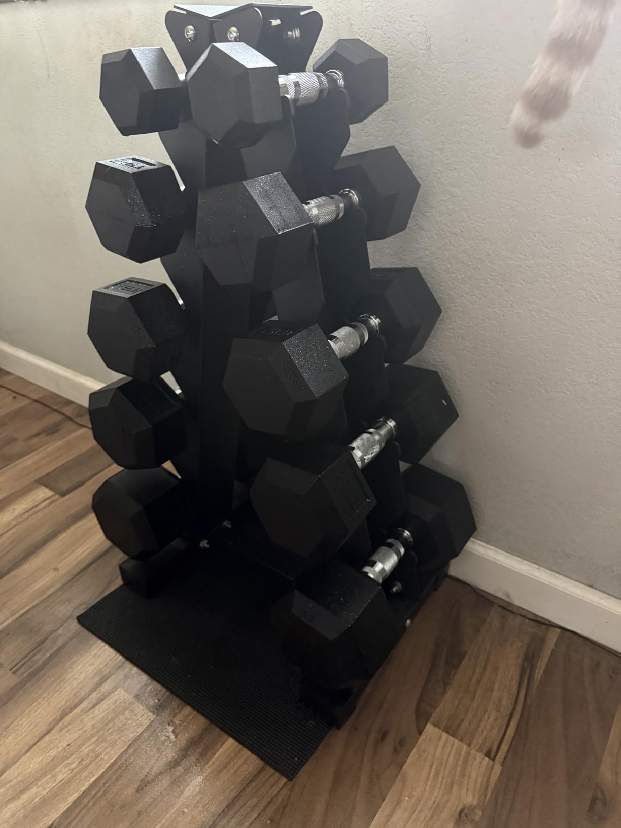 BalanceFrom Rubber Coated Hex Dumbbell Weight Set with Storage Rack, 100LB or 150LB or 200LB Set, 5-20 lbs or 5-25 lbs or 10-30 lbs Pairs customer photo 1