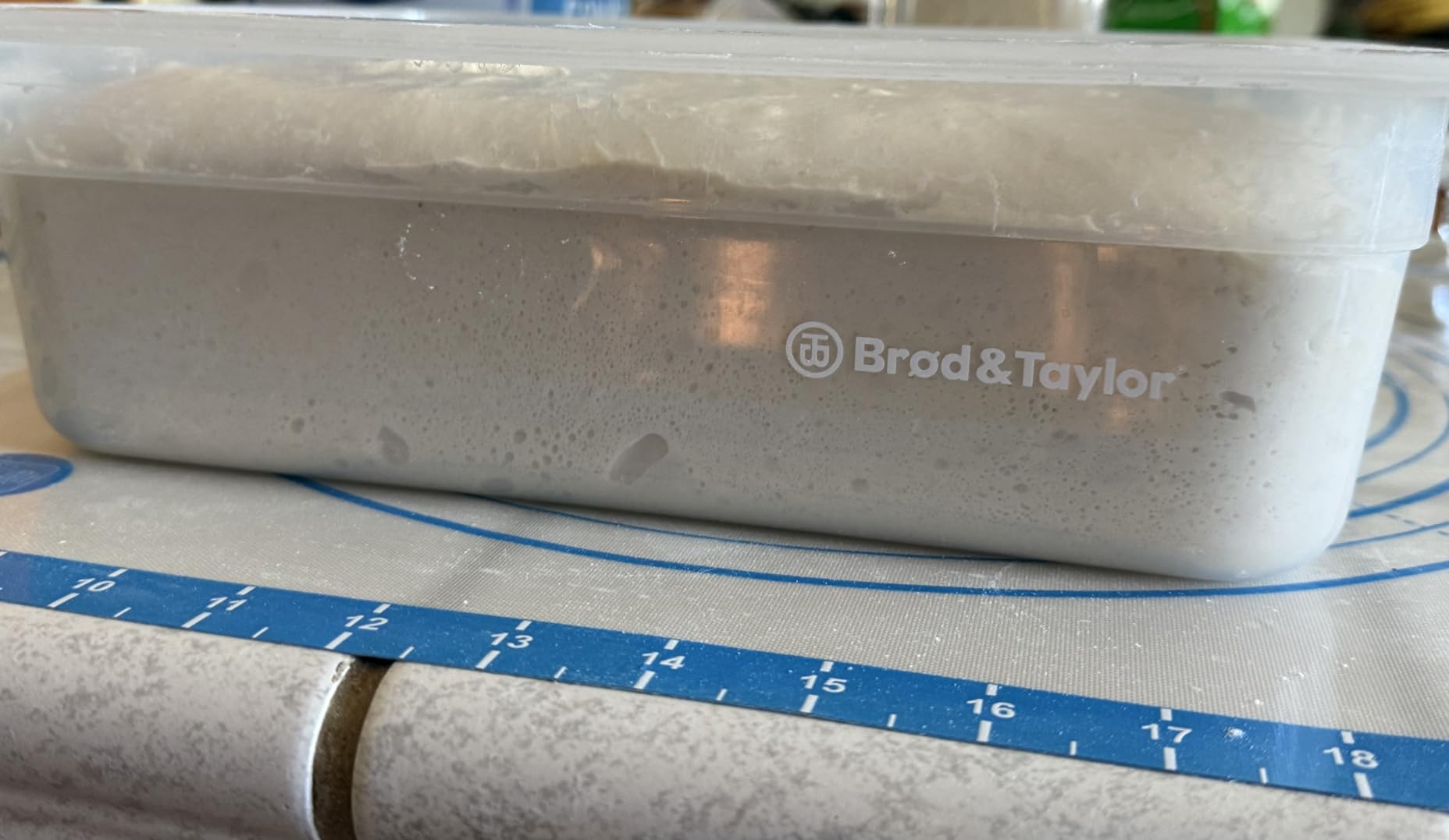 Brod & Taylor Proofing Container With 6L Capacity, Fits Up to 3000 Grams of Dough - Dough Rising Box for Bread, Sourdough & Pizza (Dishwasher Safe, BPA-Free) customer photo 2