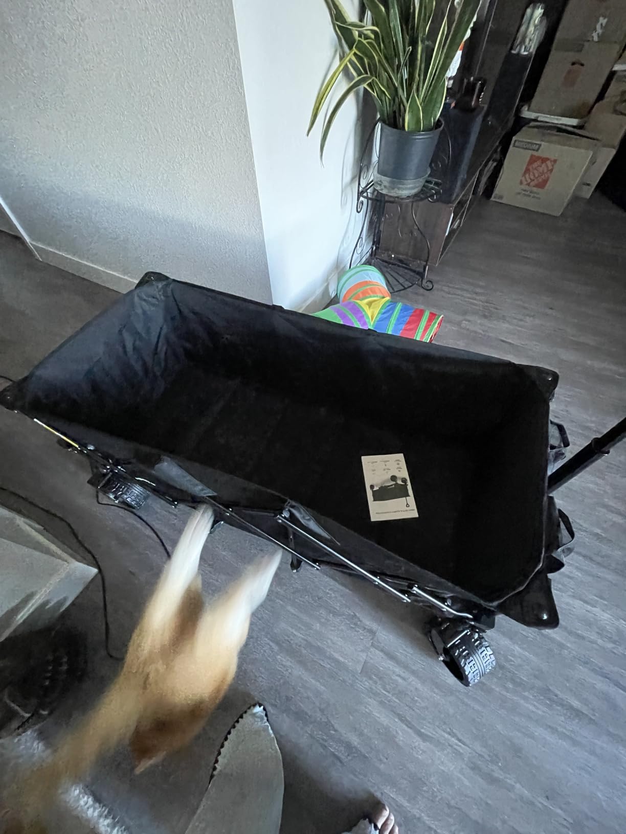 Originsure 300L Collapsible Beach Wagon Cart with Big Wheels, 560lbs, Black customer photo 2