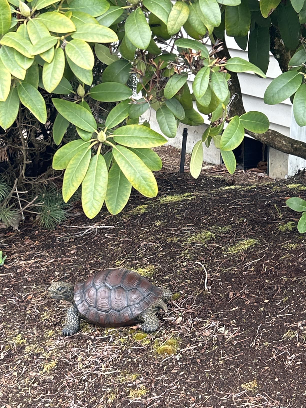 Weather-Resistant Resin Turtle Statue Decoration, Exquisite Handicraft, Artistic Simulation Animal Sculpture, Suitable for Outdoor Gardens, Courtyards, Ponds, Colorful Holiday Decoration Gifts customer photo 2