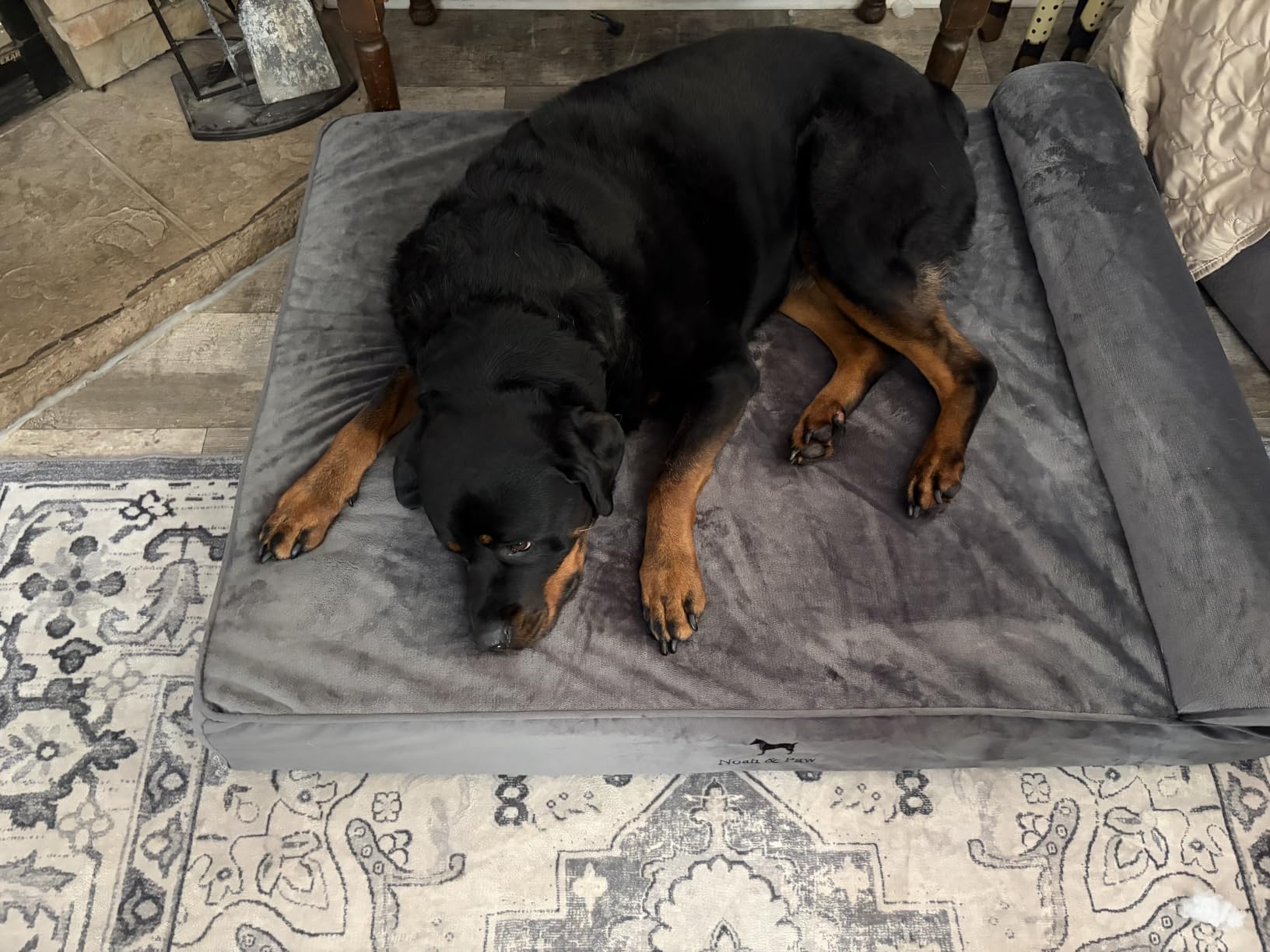 NOAH & PAW XL Dog Bed, 45x35x9.1 Inch, Orthopedic Large Dog Beds, Eggshell Memory Foam Infused with Cooling Gel, Water Resistant, Machine Washable, Includes Inner Cover (Velvet Collection) customer photo 1