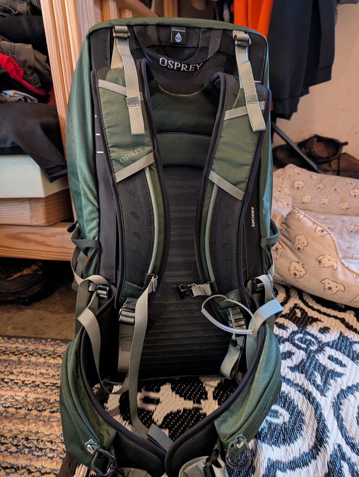 Osprey Talon 22L Men's Lightweight Hiking Backpack customer photo 2