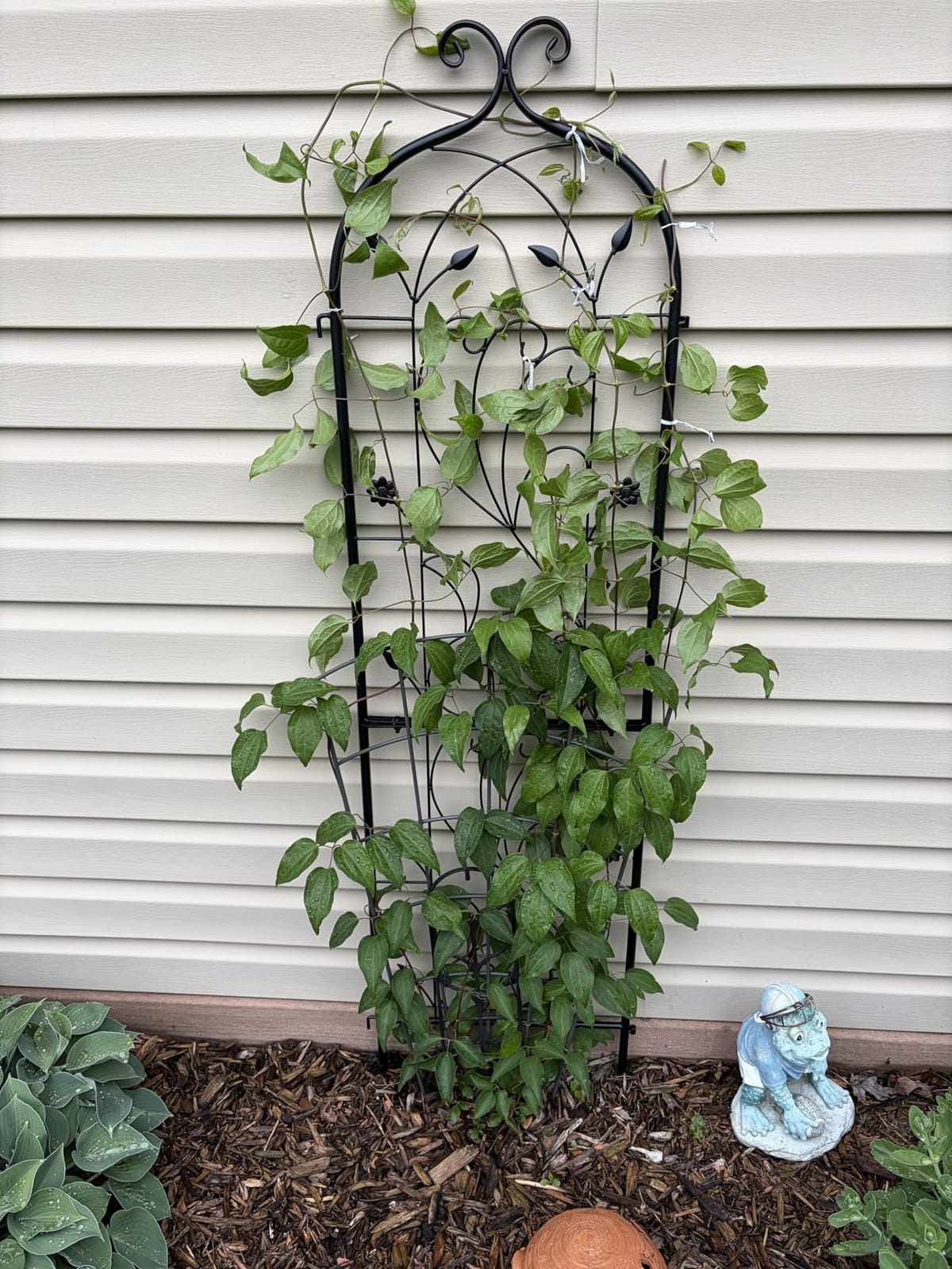 VEVOR Garden Trellis for Climbing Plants 87x20 in 4-Pack Metal Rose Trellis, For Flower, Outdoor Climbing Clematis, and Cucumbers Support, Rustproof Material, Decorative for Courtyards and Lawns, Black customer photo 2