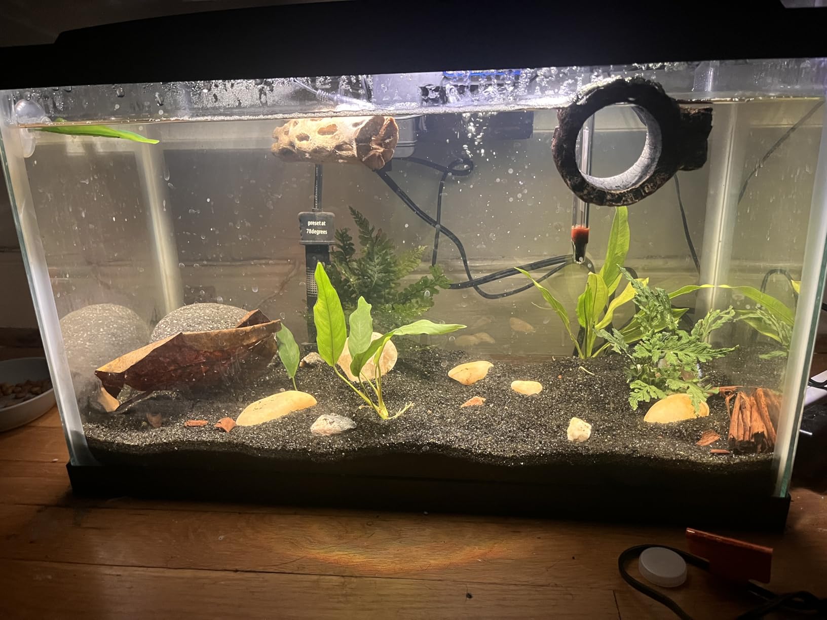 Aqueon Aquarium Starter Kit with Smart Clean Filtration and LED Lighting, Freshwater and Saltwater Fish, Perfect for Tetras, Guppies, Platies, 10-Gallon customer photo 1