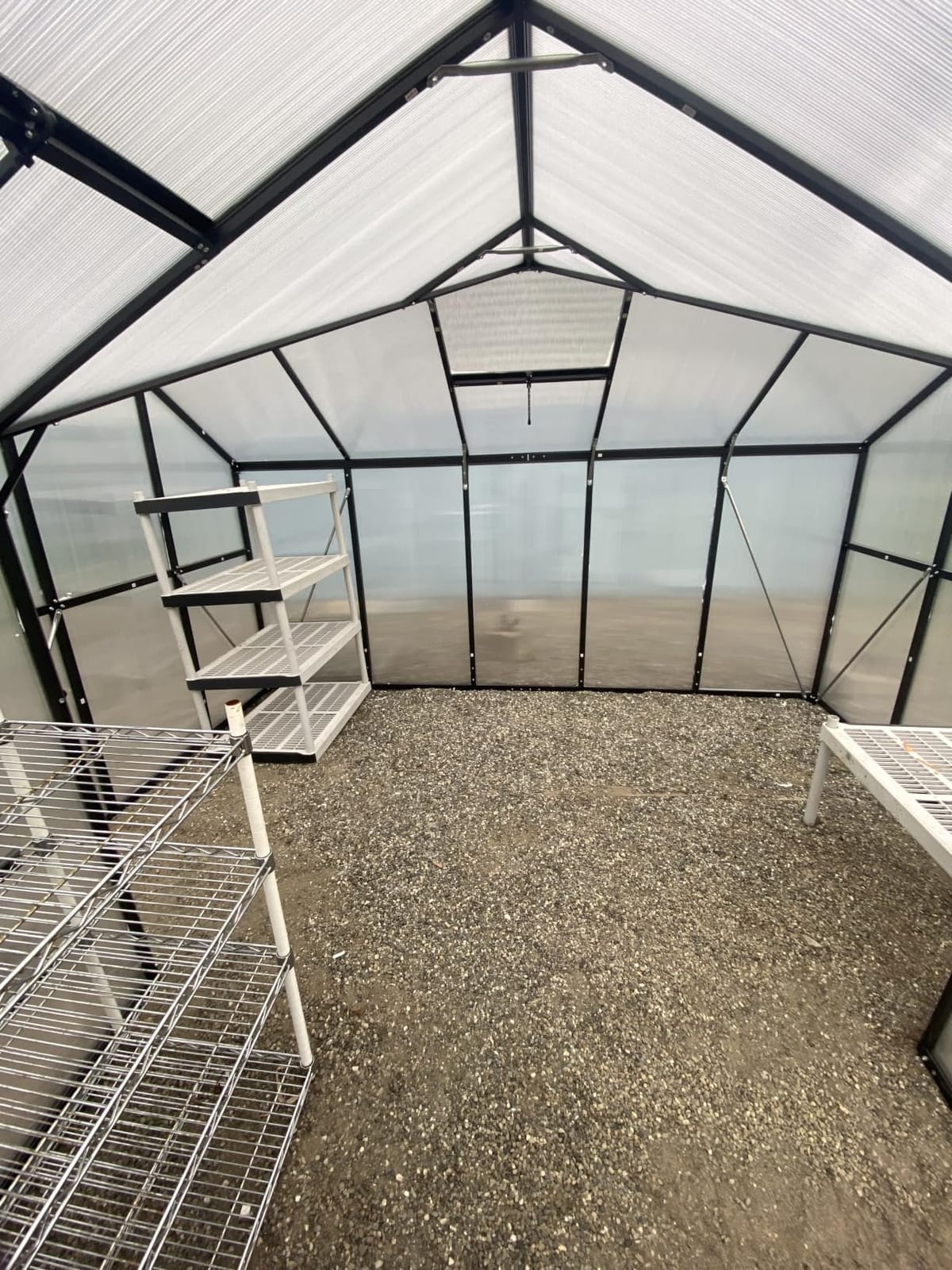 8x14 FT Greenhouse with Hygrometer, Windproof UV Protection Green Houses customer photo 2