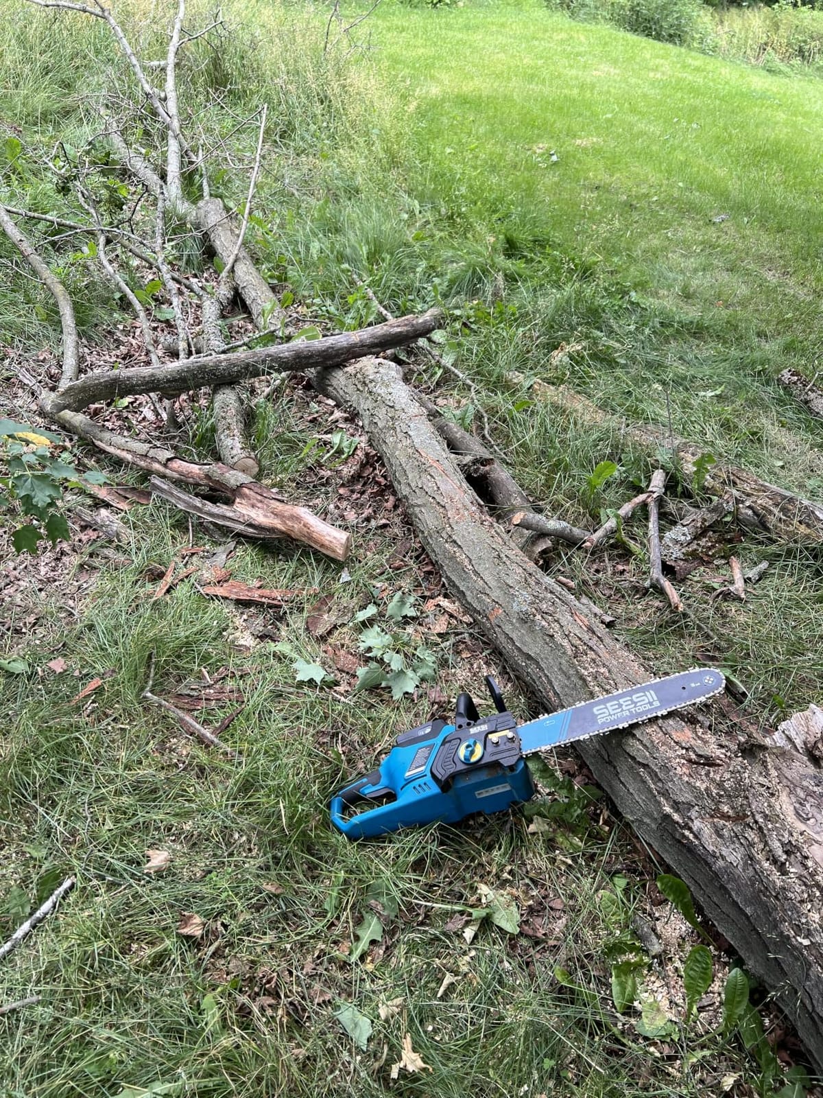 SEESII 40V 16-Inch Cordless Electric Chainsaw, 2000W Brushless Chain Saw | 2x40v 4000mAh Batteries & Chargers, Auto Oiler, Battery Powered Chain Saw for Tree Trimming, Wood Cutting, Yard Work customer photo 2