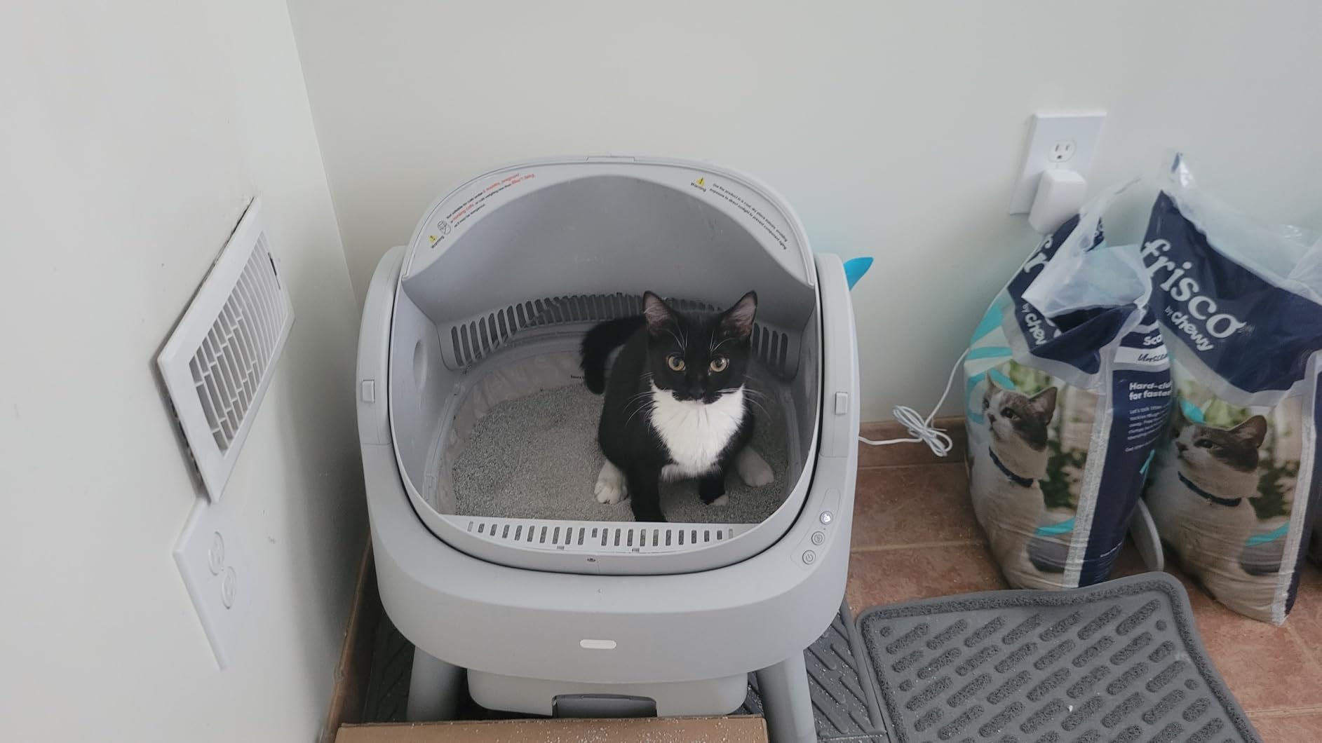 Mimfam Automatic Self Cleaning Litter Box customer photo 2